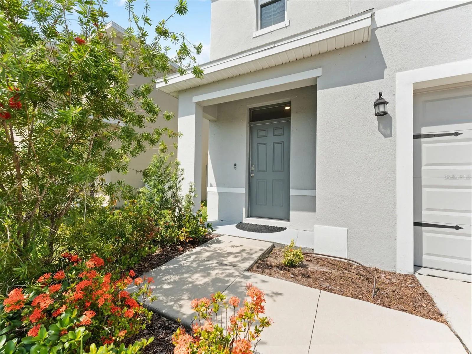 17037 BLISTER WING DR