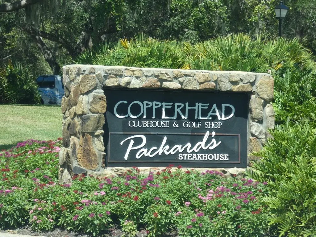 36750 US HIGHWAY 19 N #20-305, #20-305