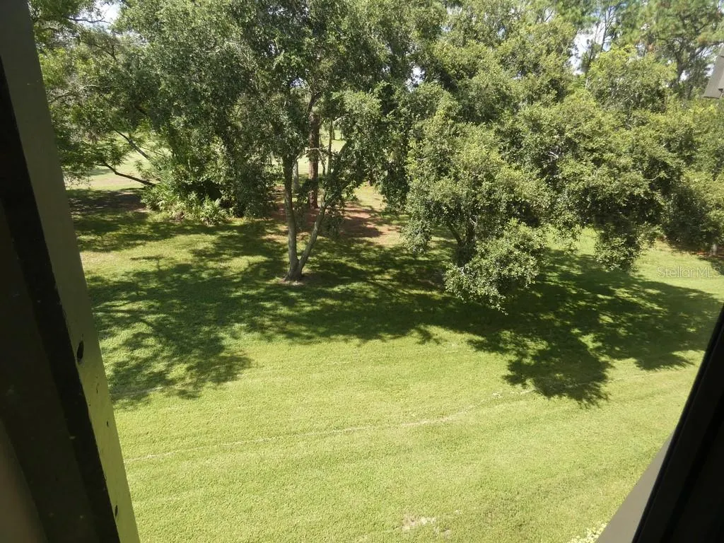 36750 US HIGHWAY 19 N #20-305, #20-305