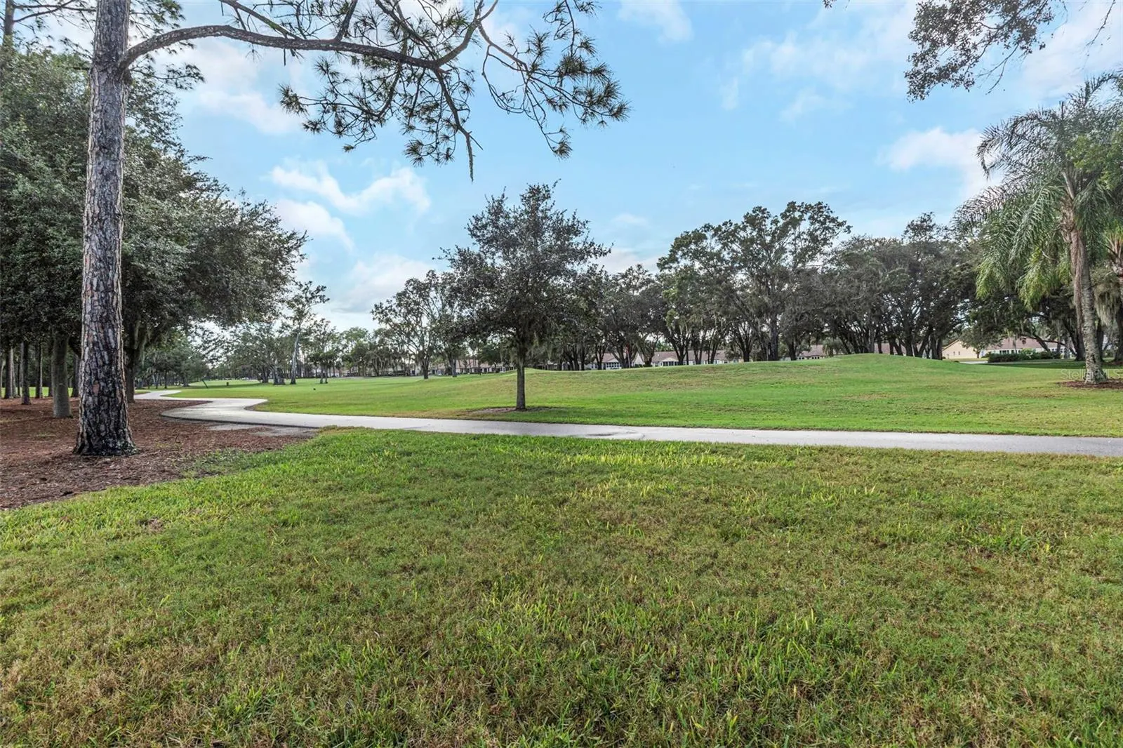 9807 OAKWOOD HILLS CT