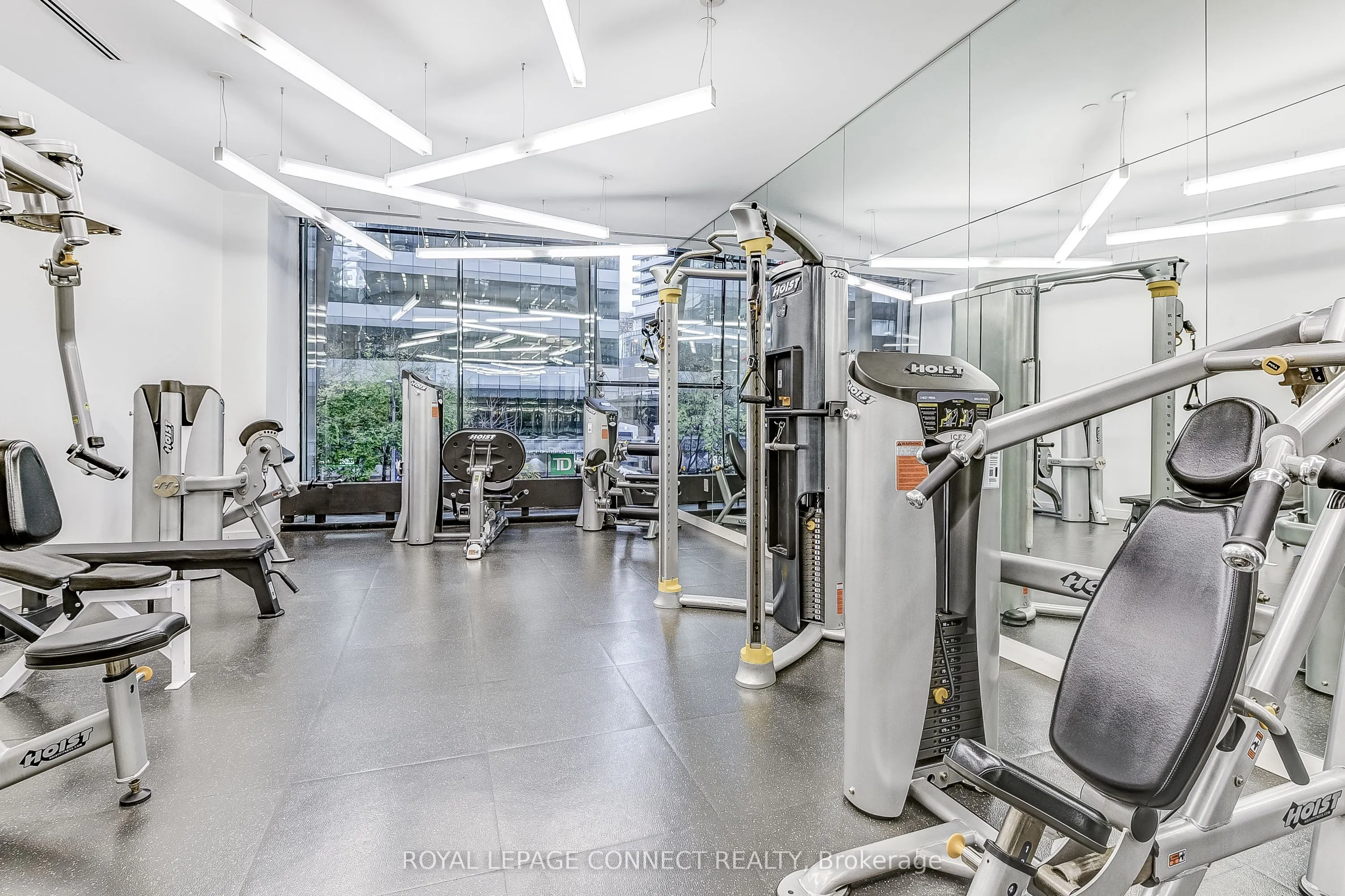 14 York Street #2804