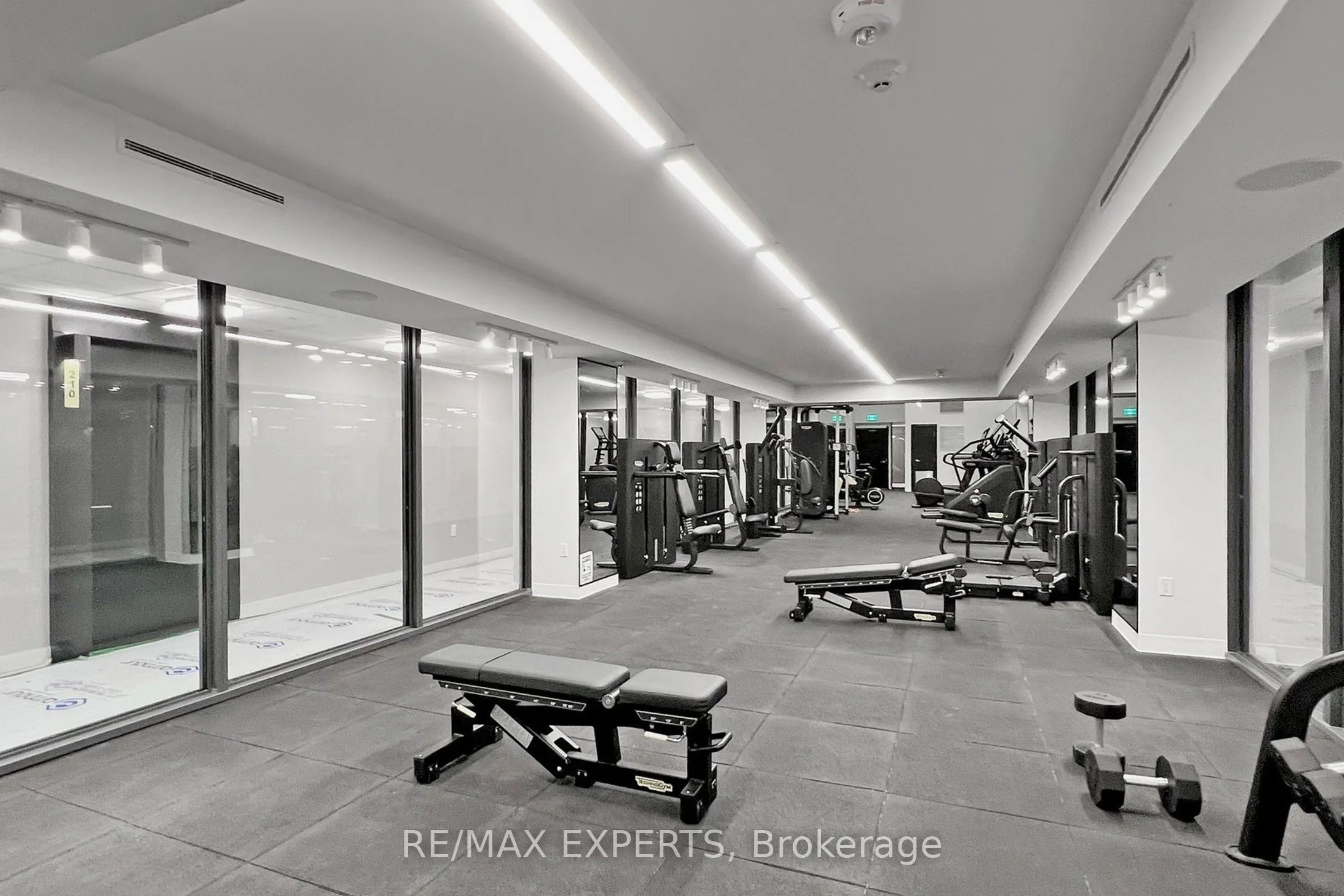 158 Front Street E, #316