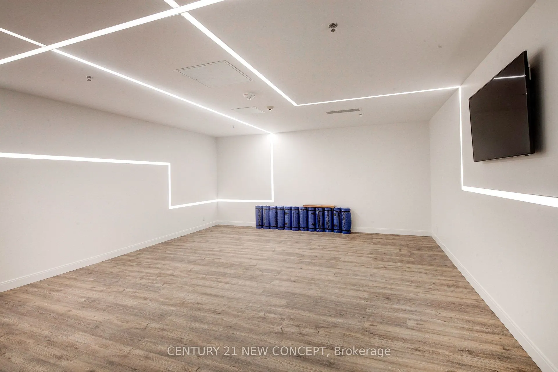 181 Dundas Street E, #4209