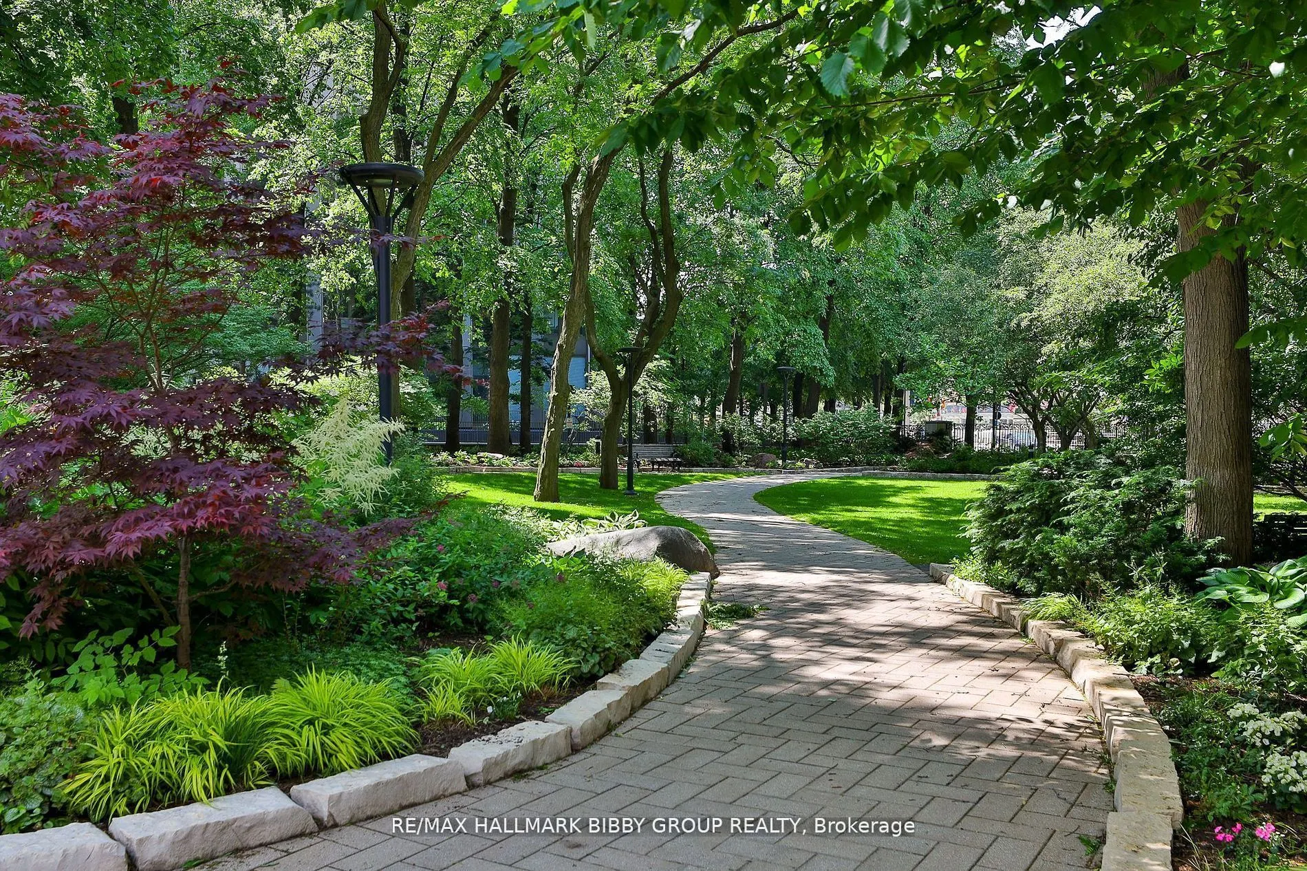 61 St Clair Avenue W, #206