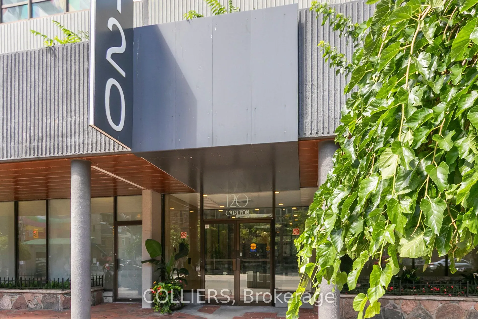 120 Carlton Street, #415