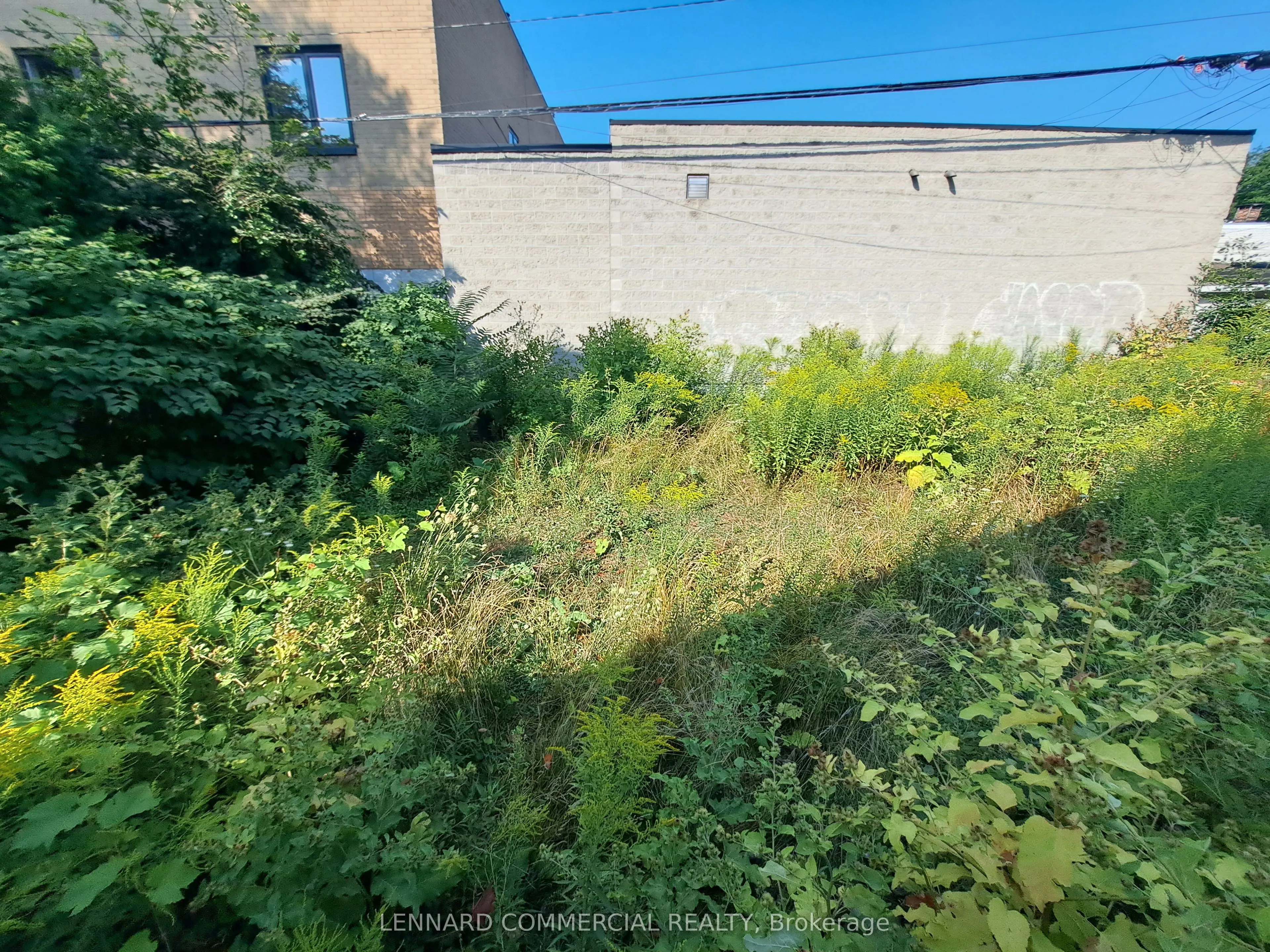 276 Bathurst Street