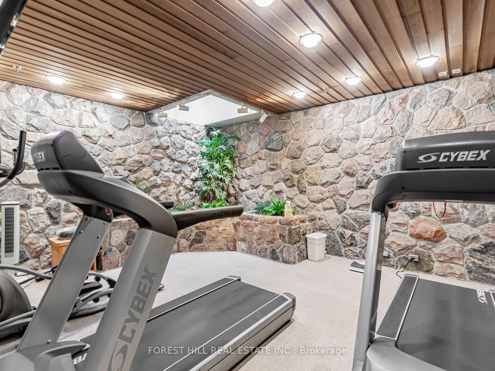 1177 Yonge Street, #509