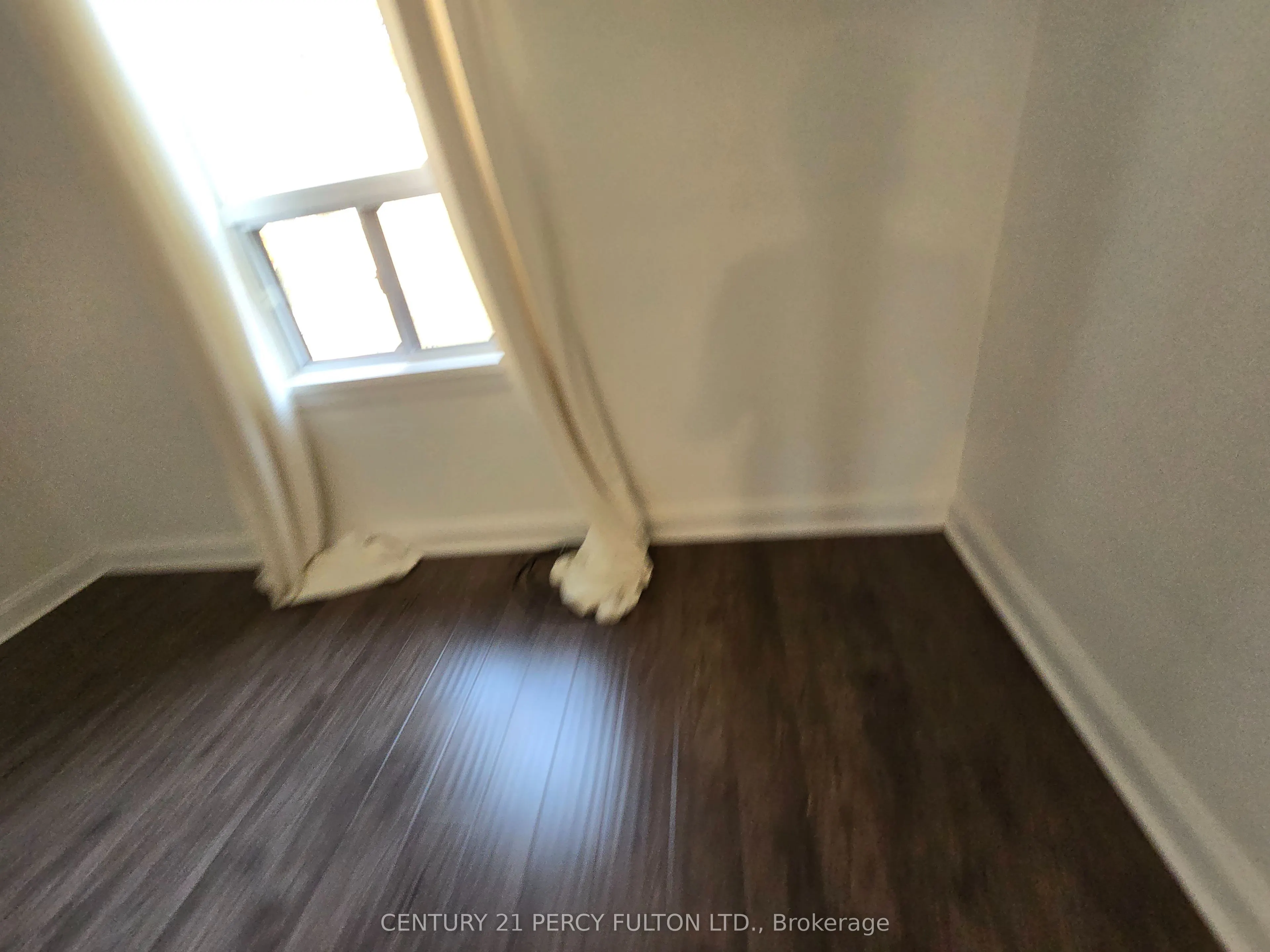 109 Norton Avenue