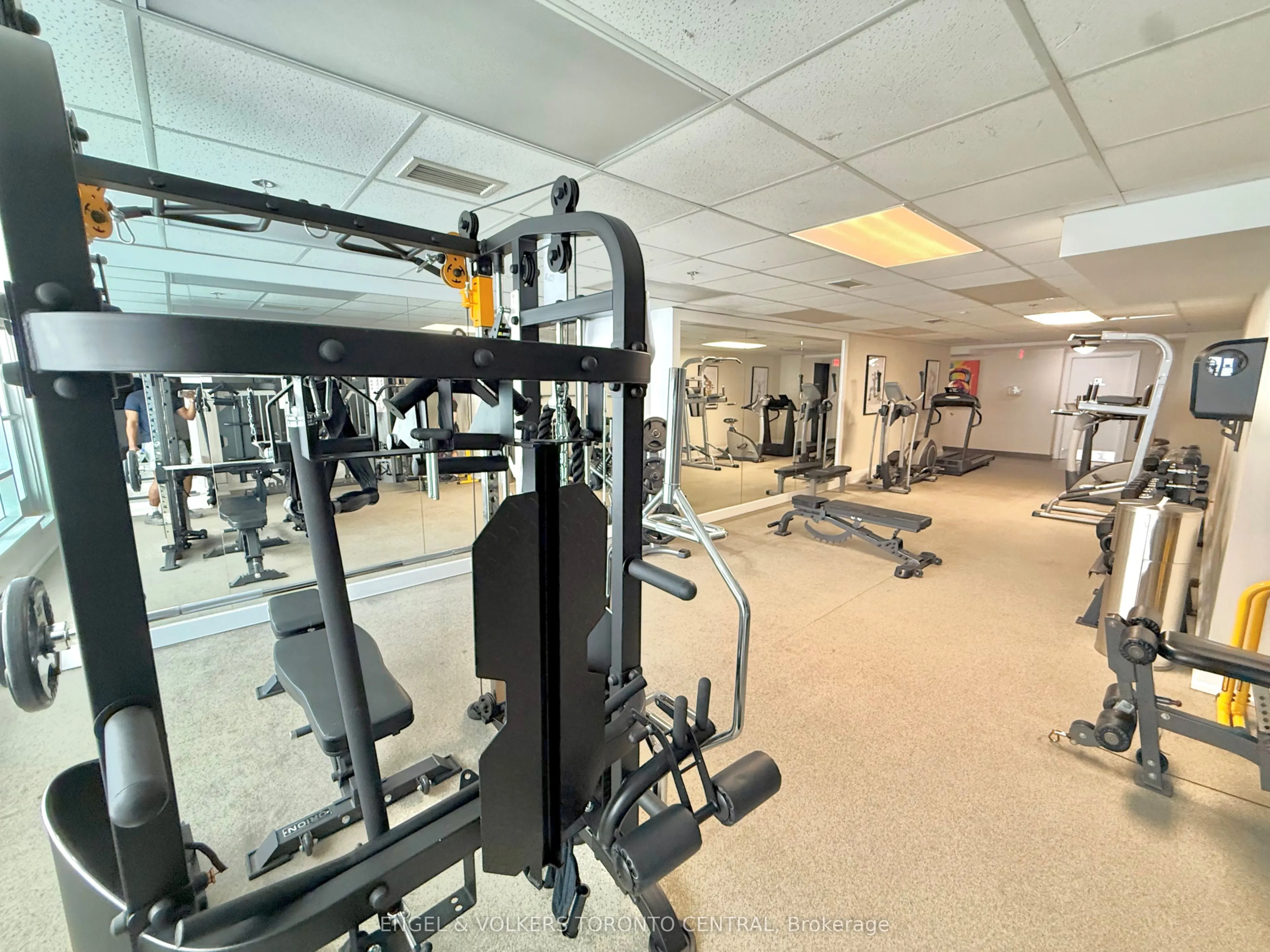 225 Wellesley Street E, #208