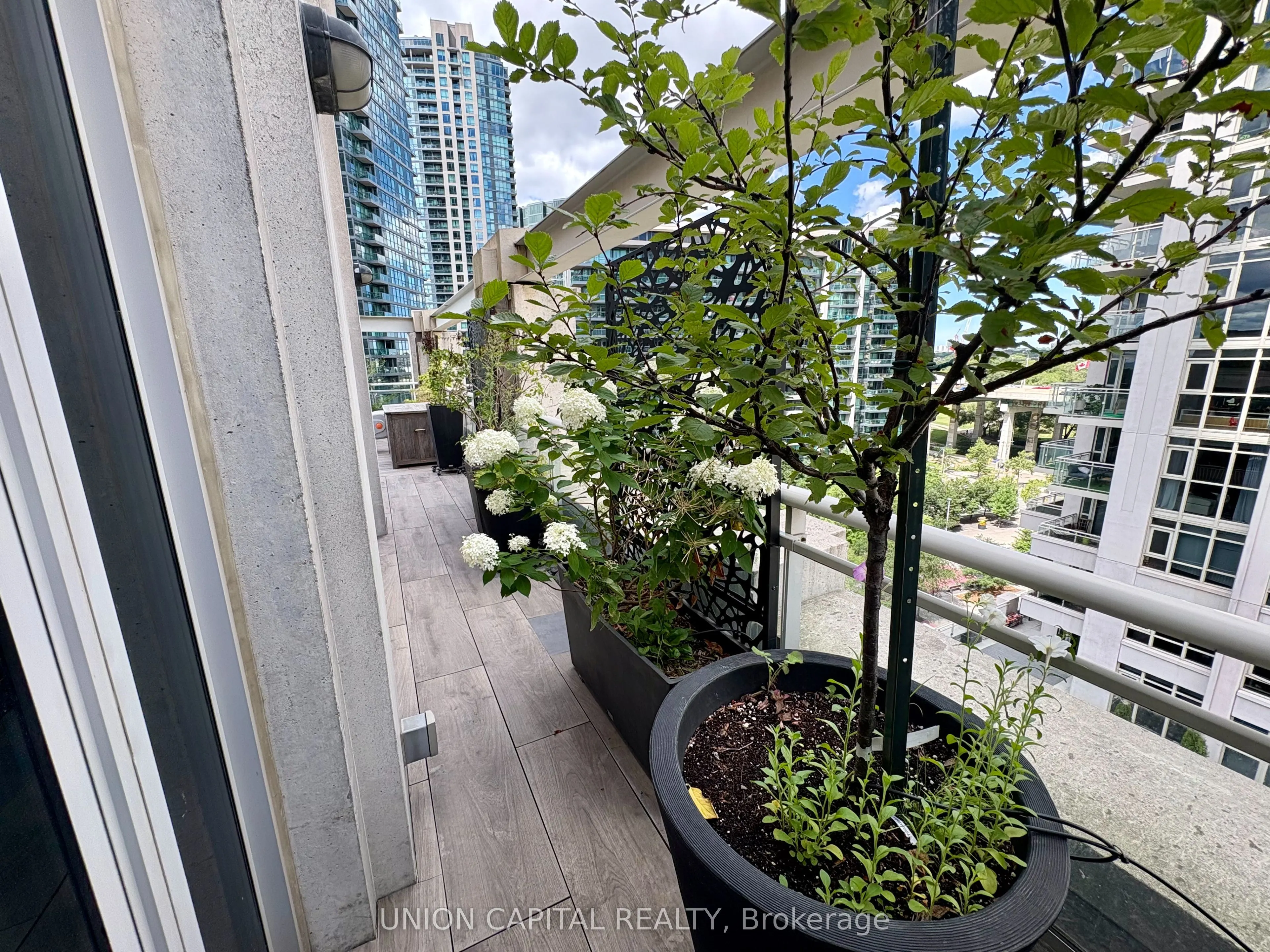 628 Fleet Street, #1006