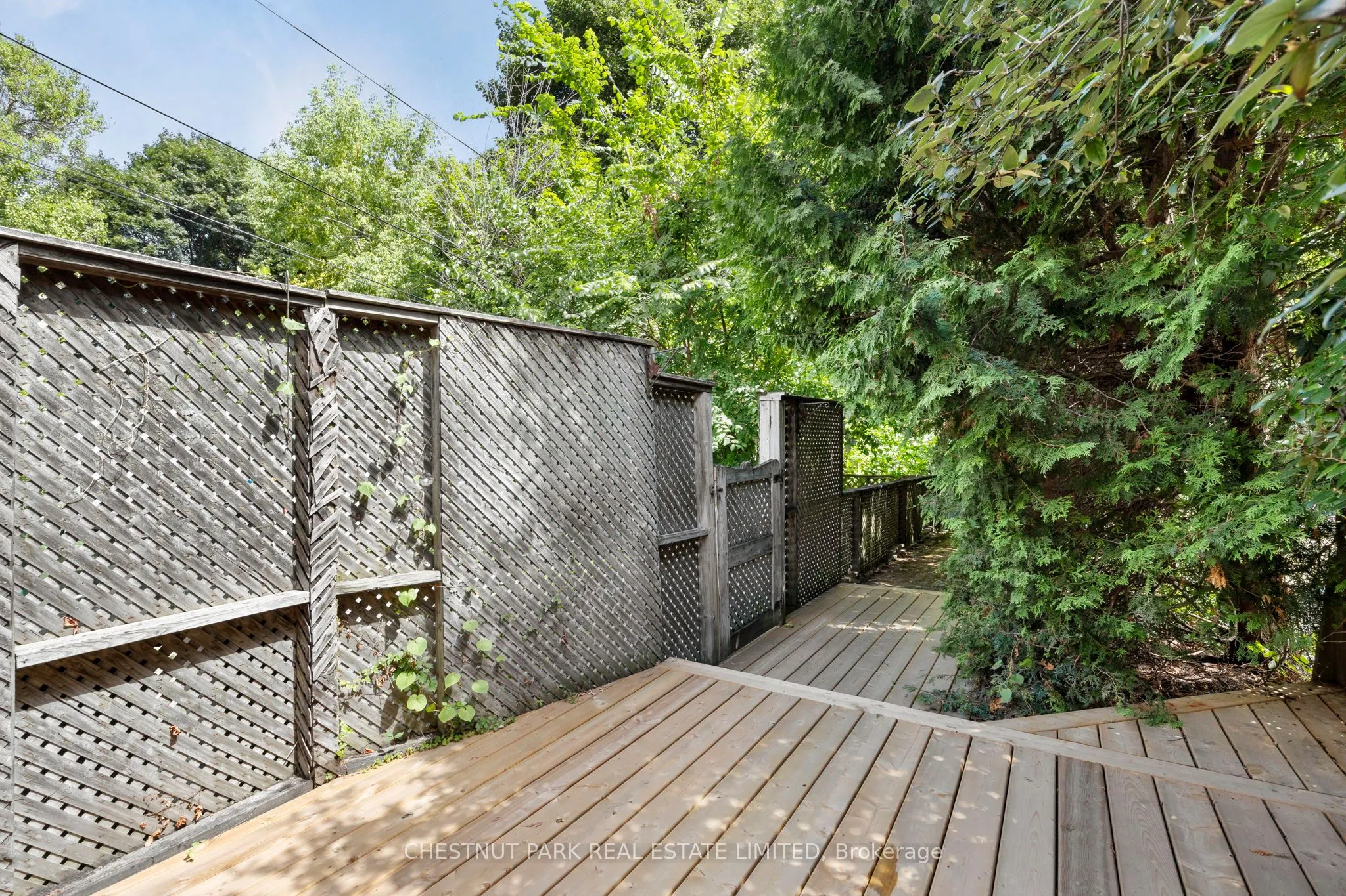 23 Edith Drive