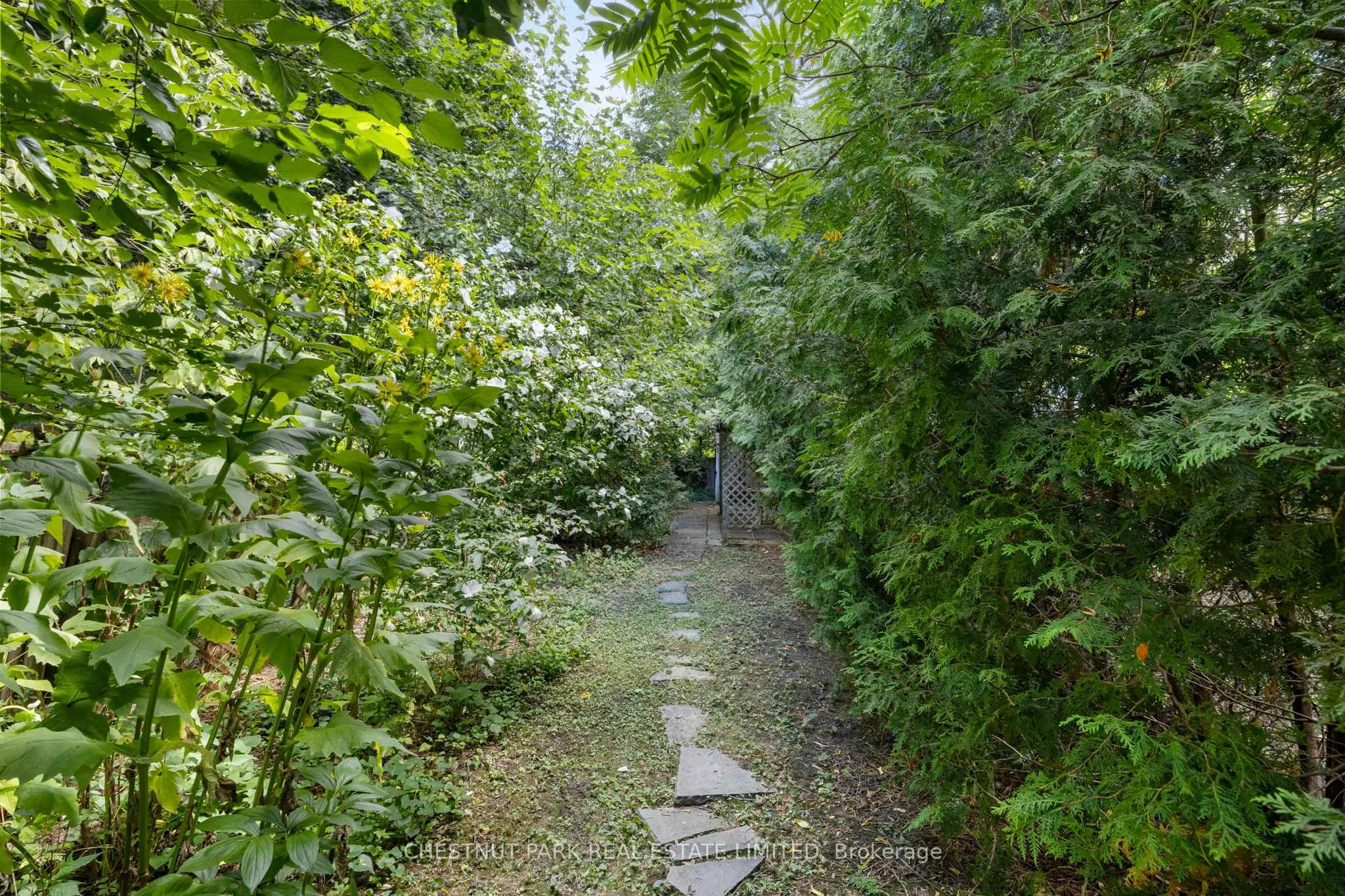 23 Edith Drive