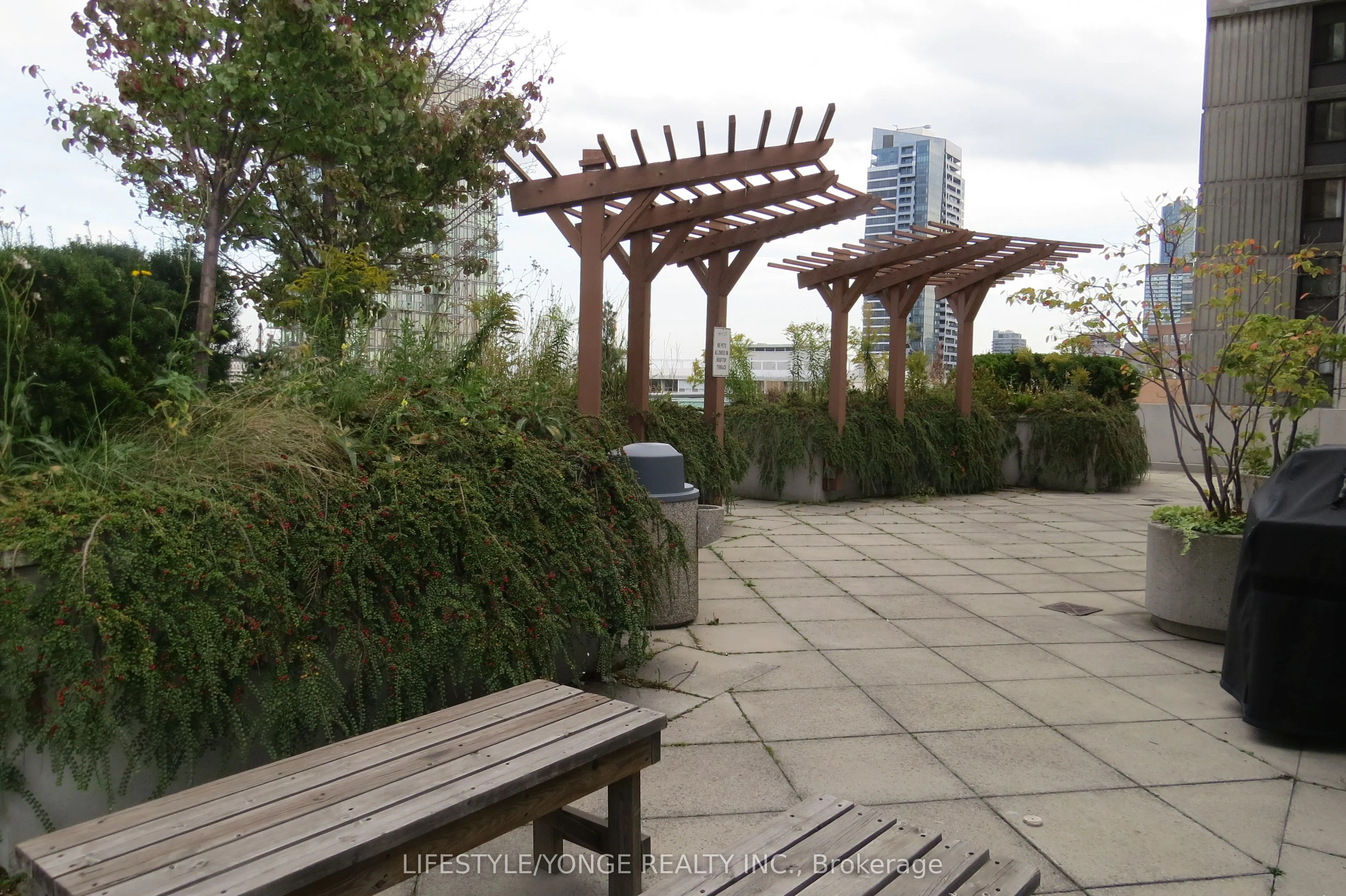 1121 Bay Street, #1608
