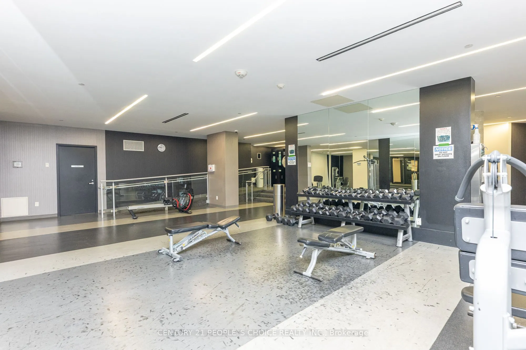 51 East Liberty Street, #2215
