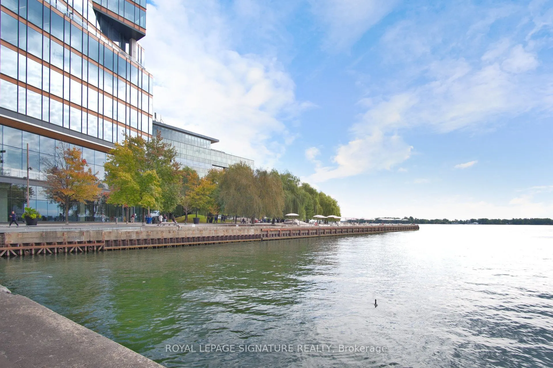 15 Lower Jarvis Street, #1103