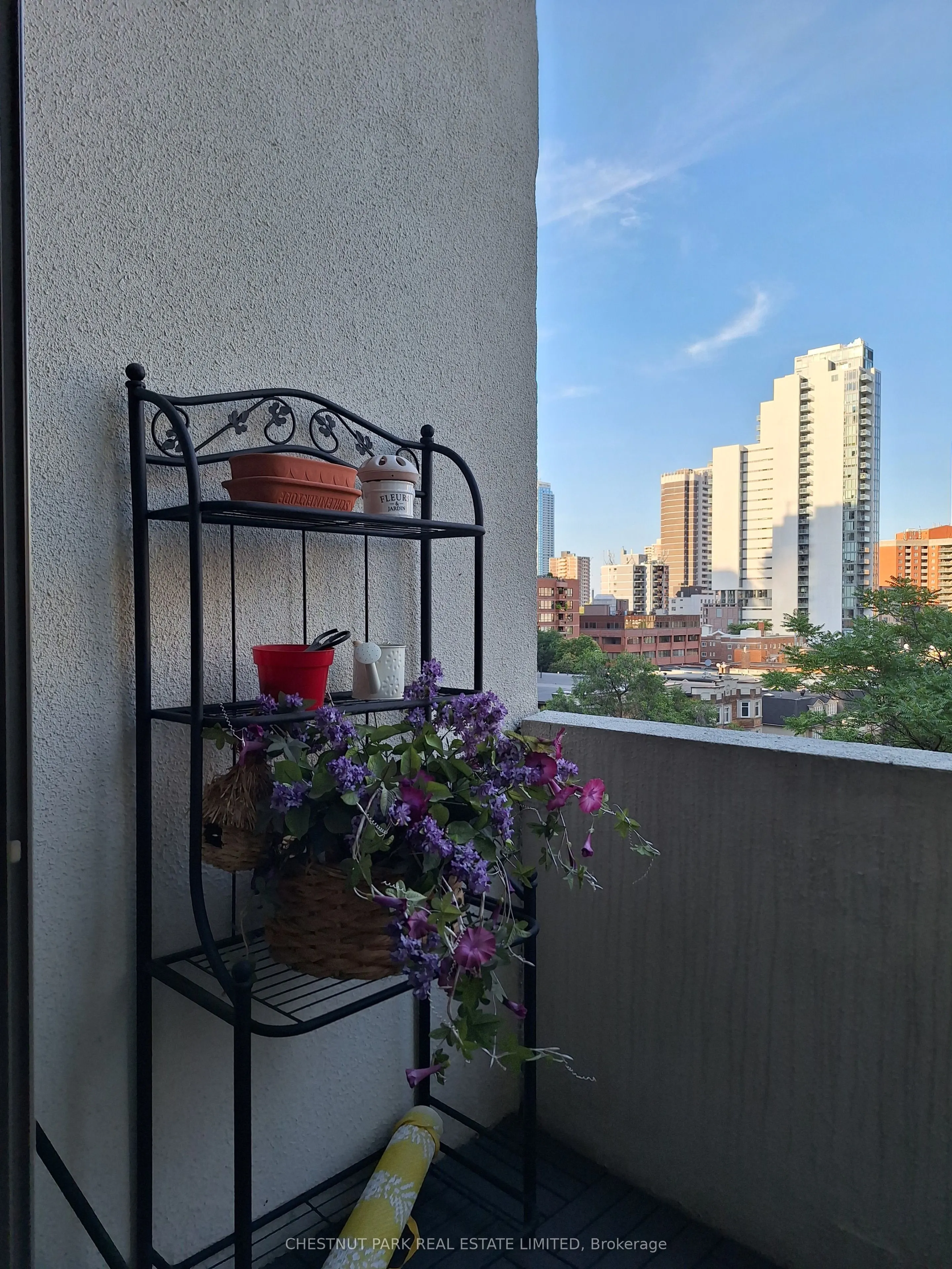 25 Maitland Street, #802