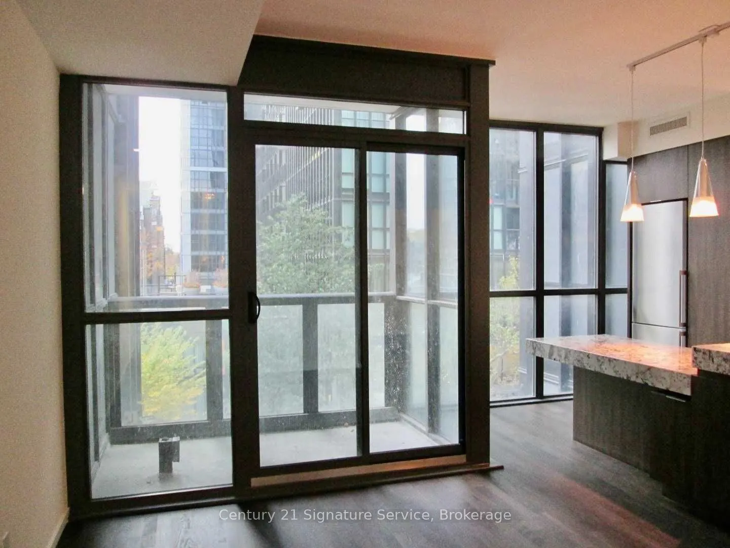 101 Charles Street E, #411