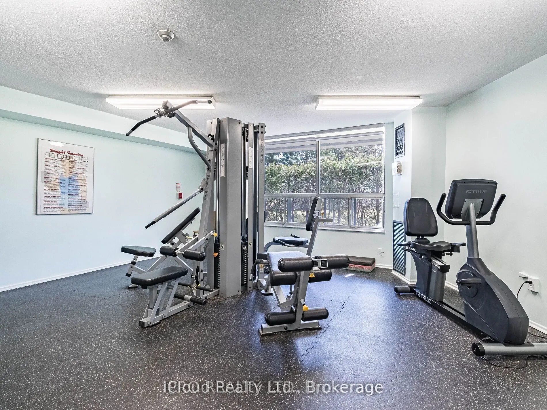5 Shady Golfway, #205
