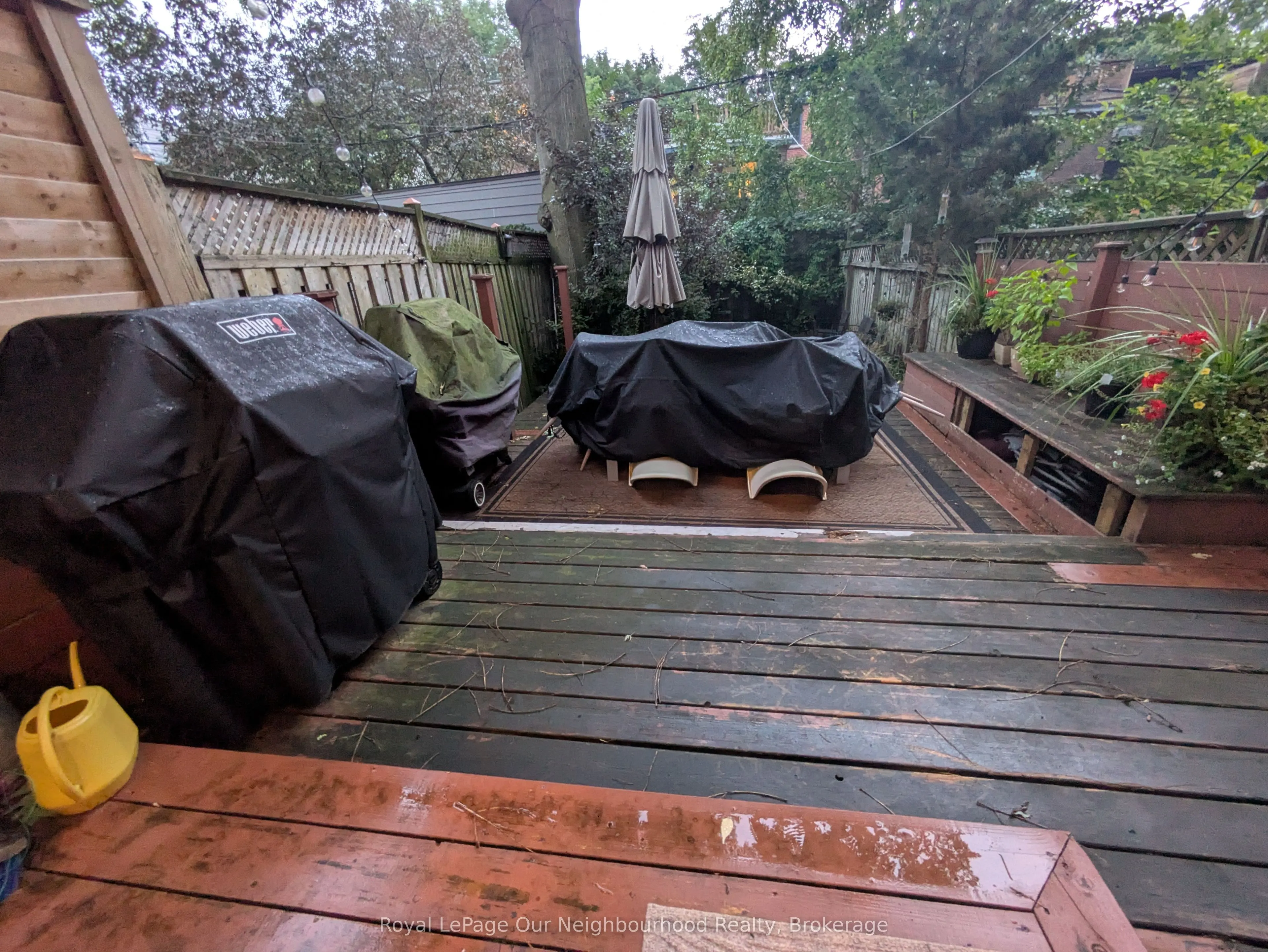 86 Asquith Avenue, #Lower