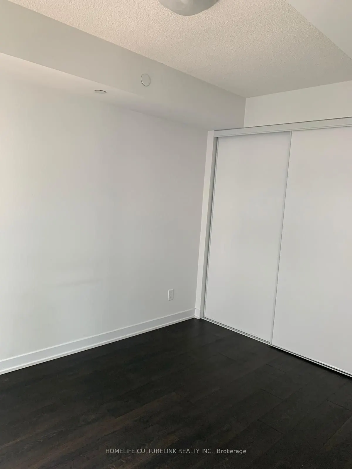 87 Peter Street, #818