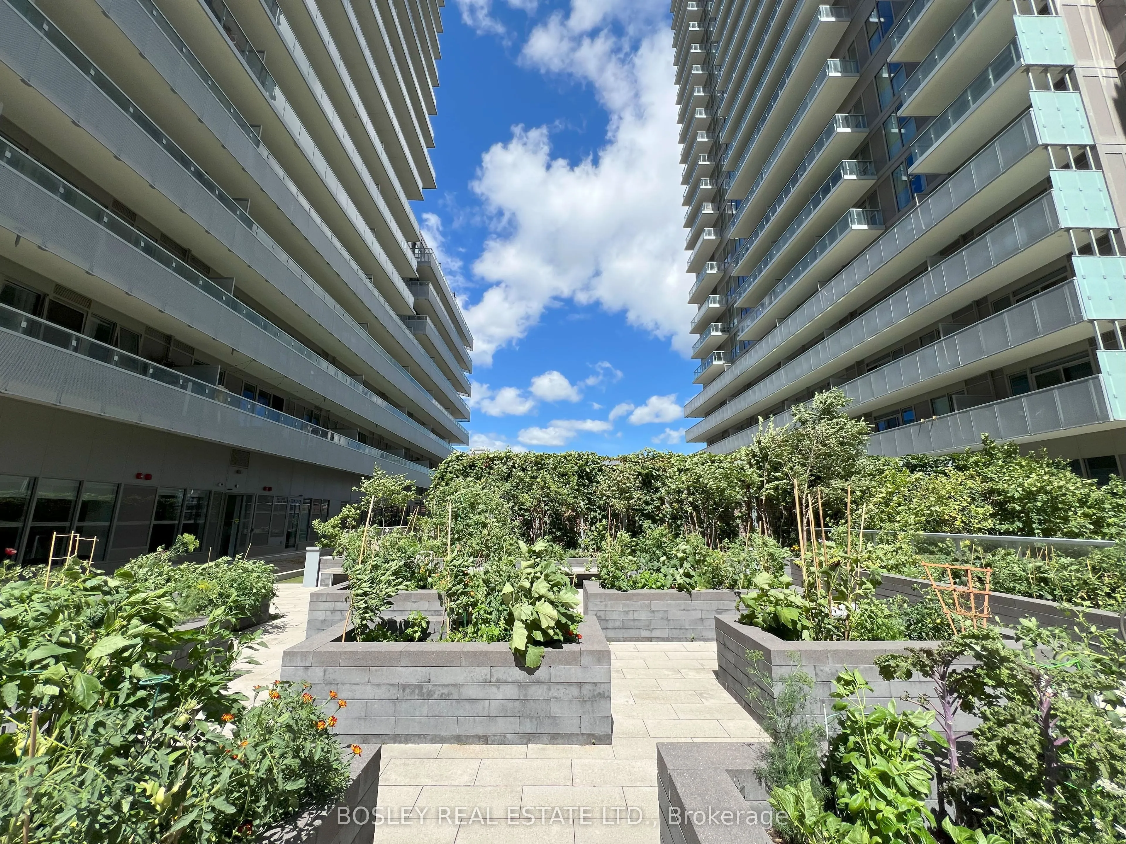 15 Lower Jarvis Street, #615