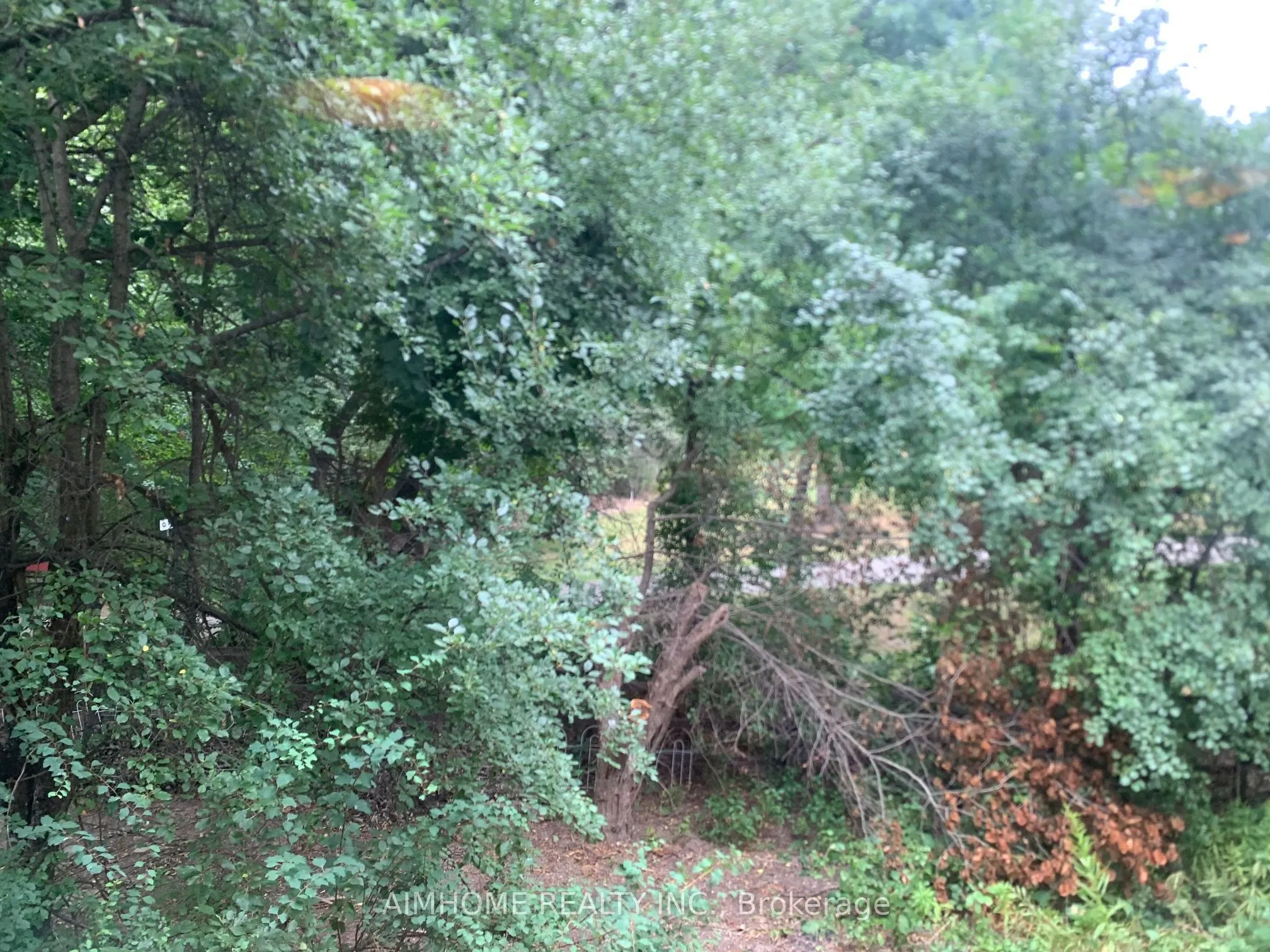 2 Audubon Court