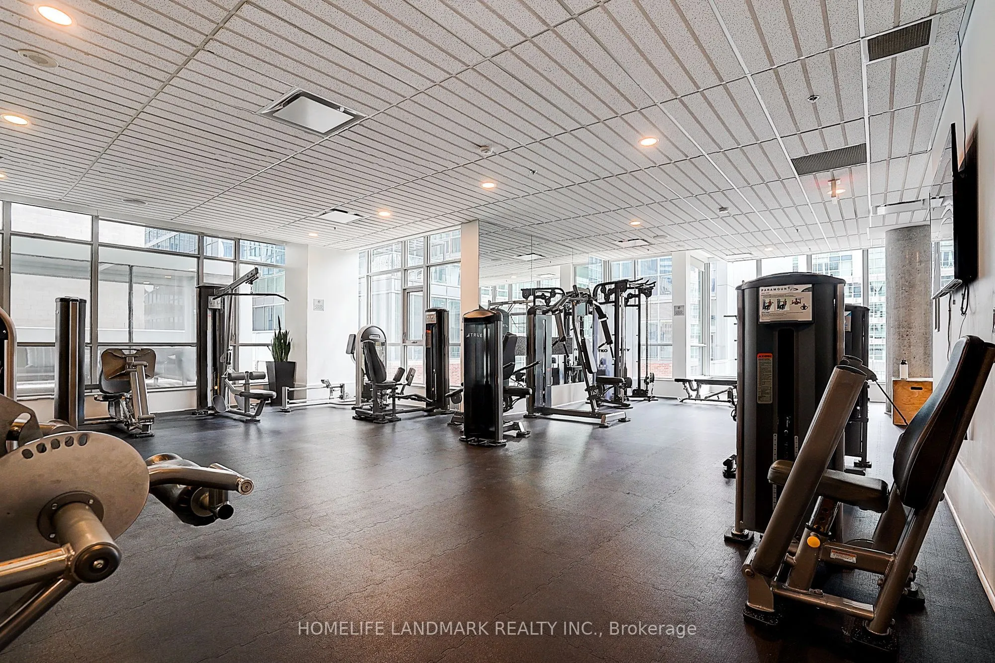 375 King Street W, #3103