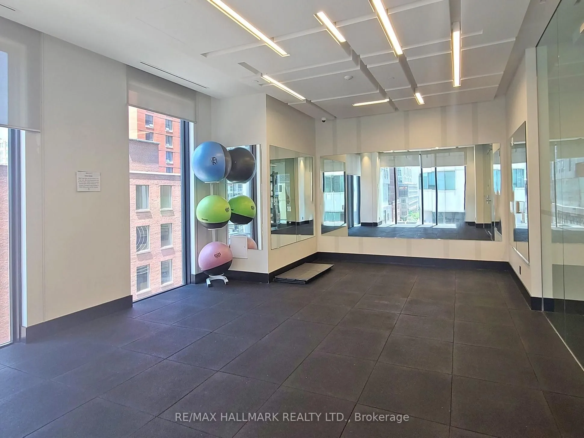 87 Peter Street, #3010