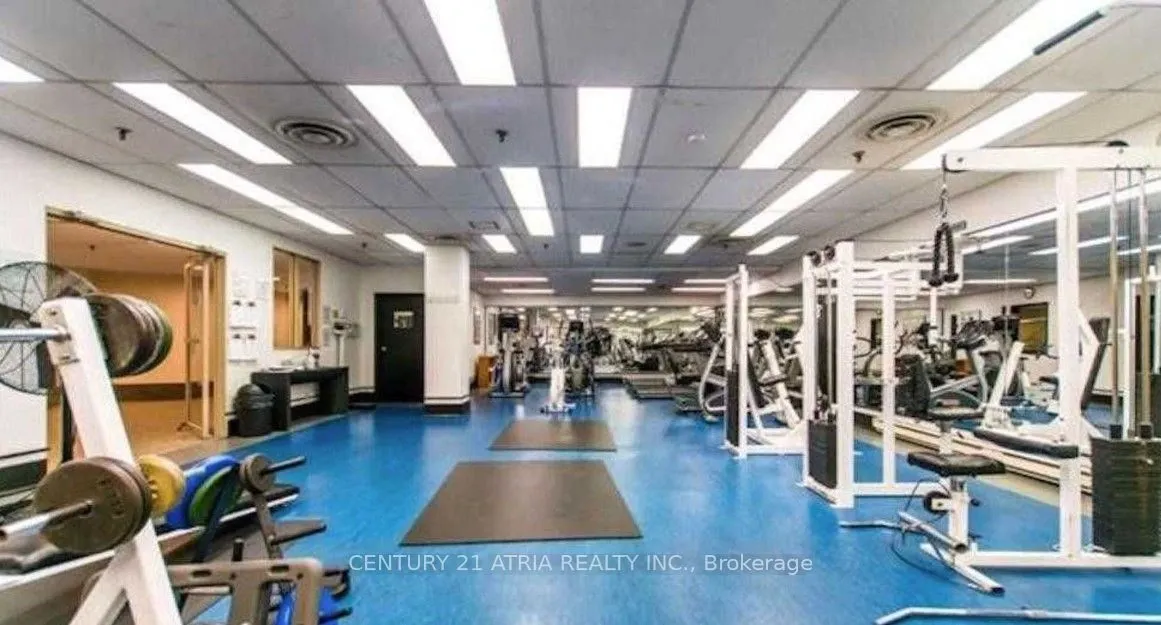 44 Gerrard Street W, #1206