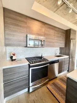 111 Bathurst Street, #1205