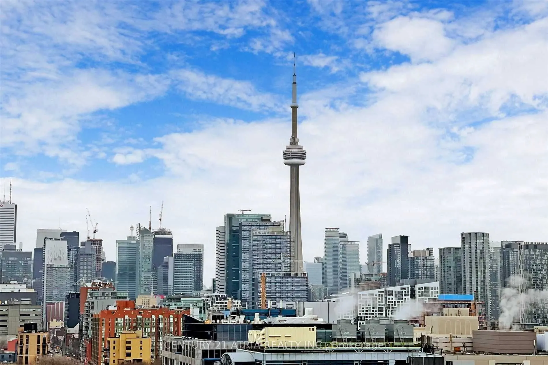 1030 King Street, #1110