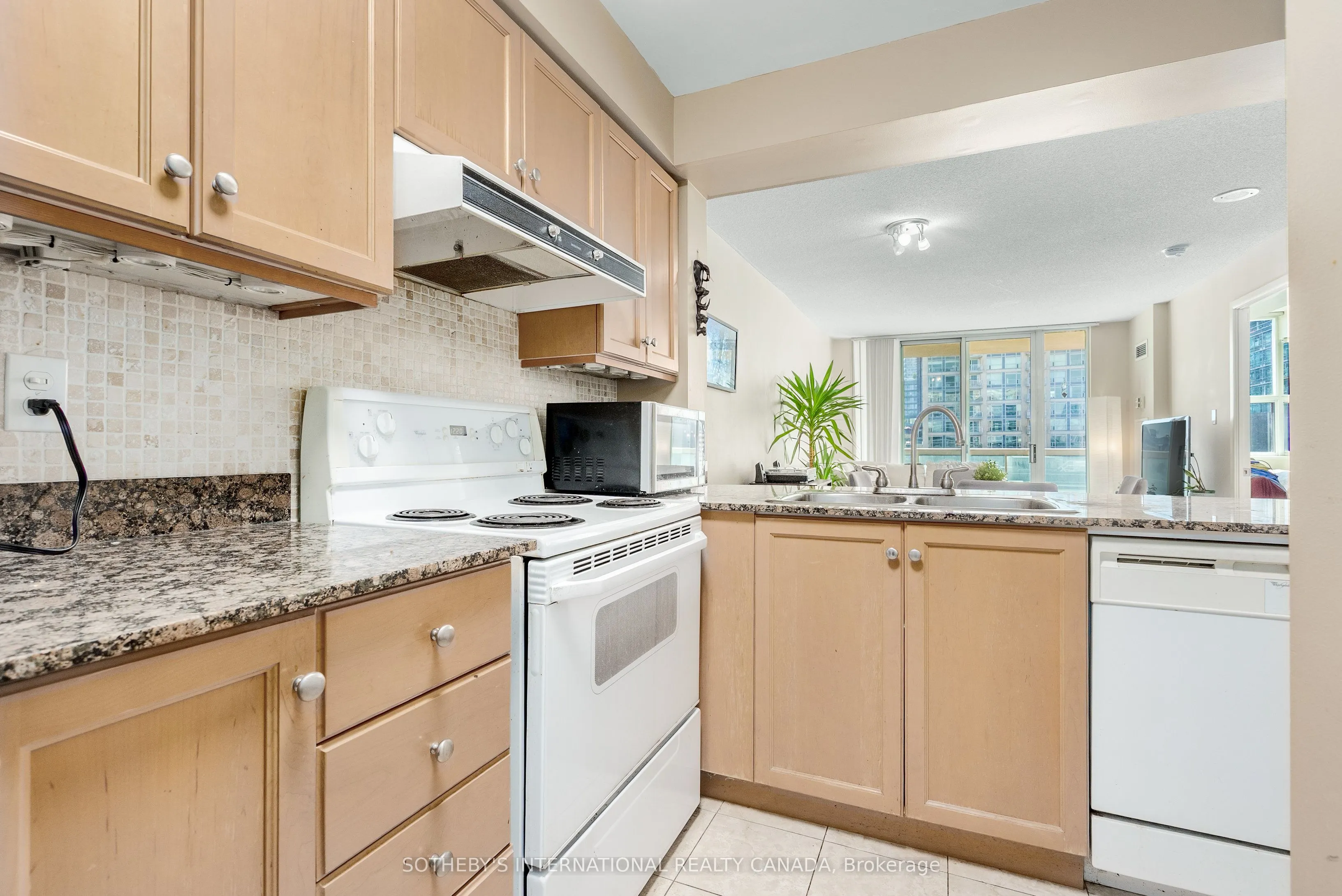 313 Richmond Street E, #858