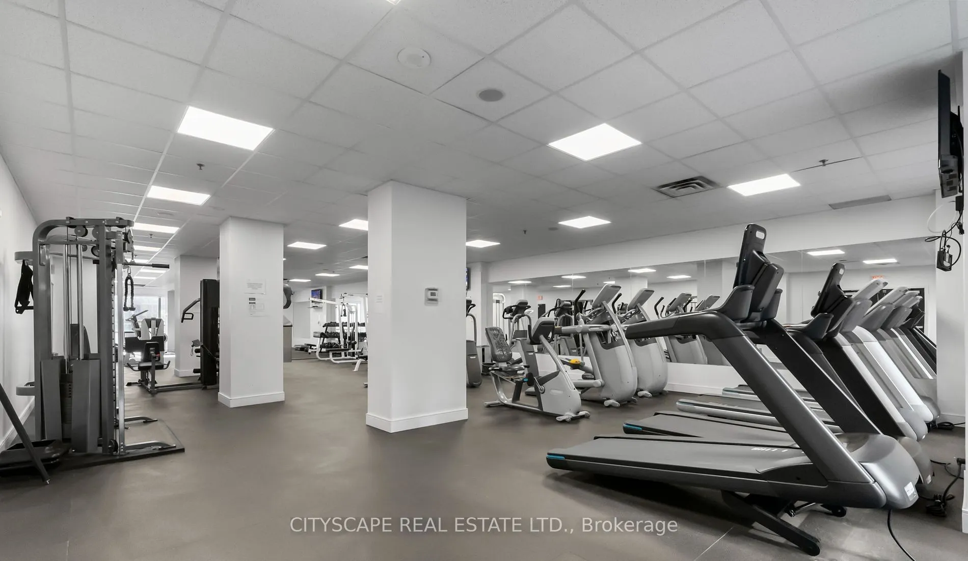 50 John St Street, #1223
