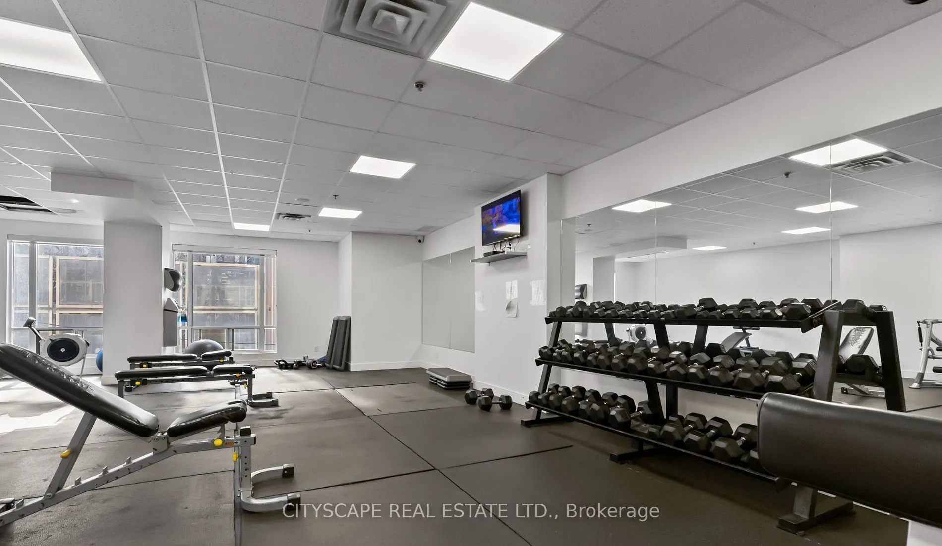 50 John St Street, #1223
