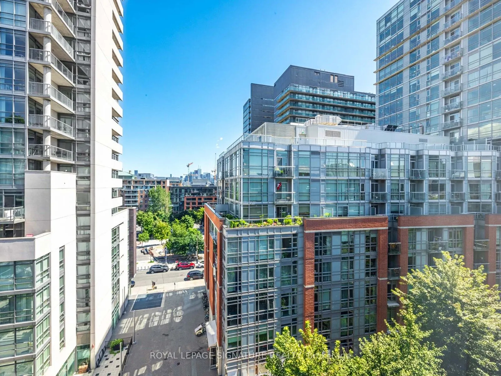 170 Sudbury Street, #806