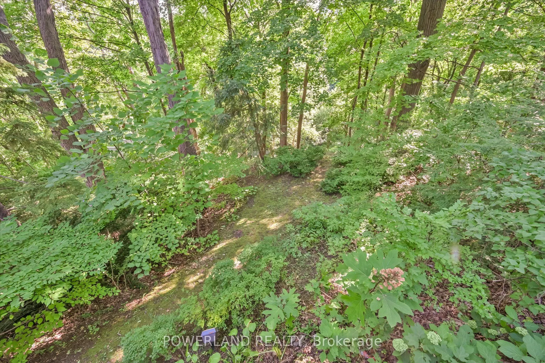94 Inglewood Drive