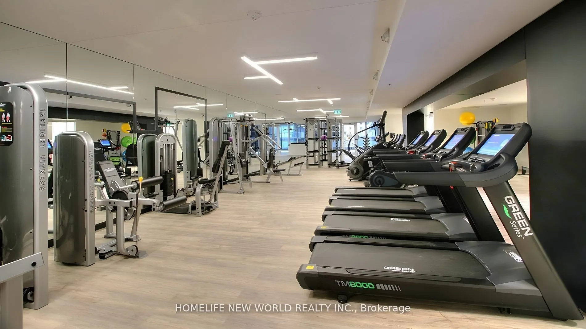 181 Dundas Street E, #3503