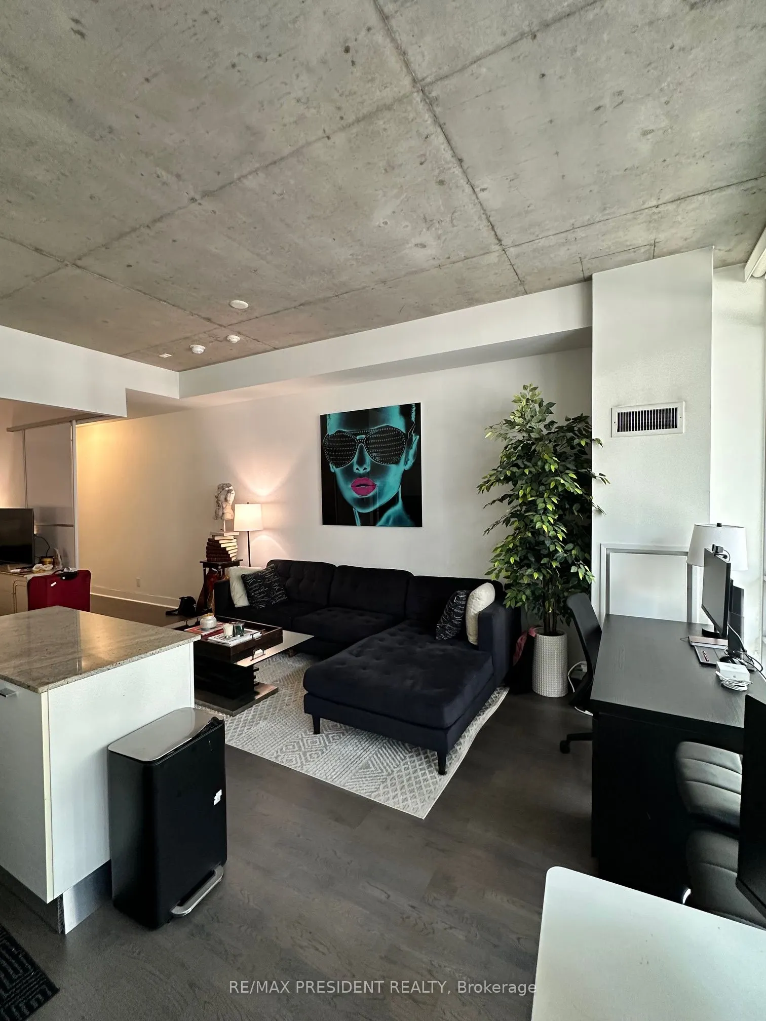 399 Adelaide Street W, #217