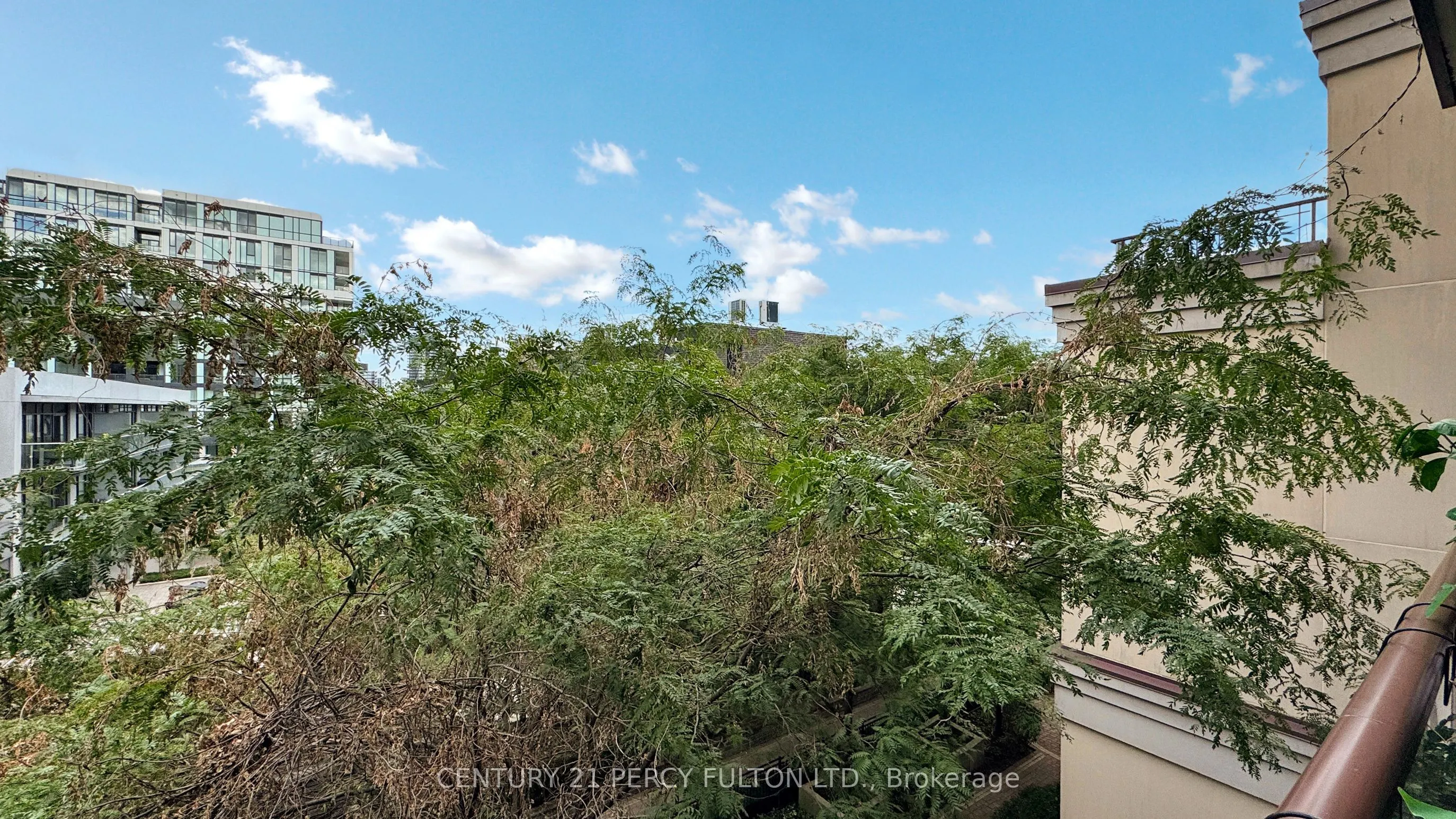 23 Rean Drive, #405