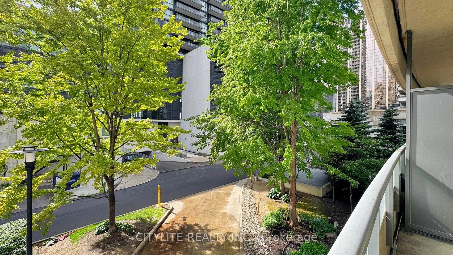 18 Spring Garden Avenue, #211