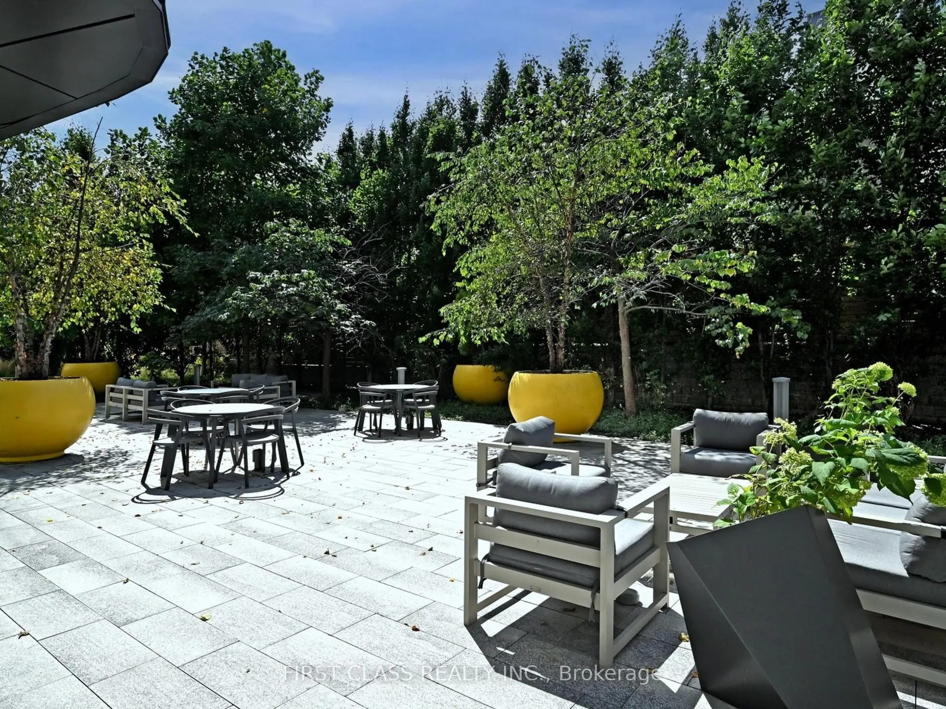 38 Cameron Street, #1019