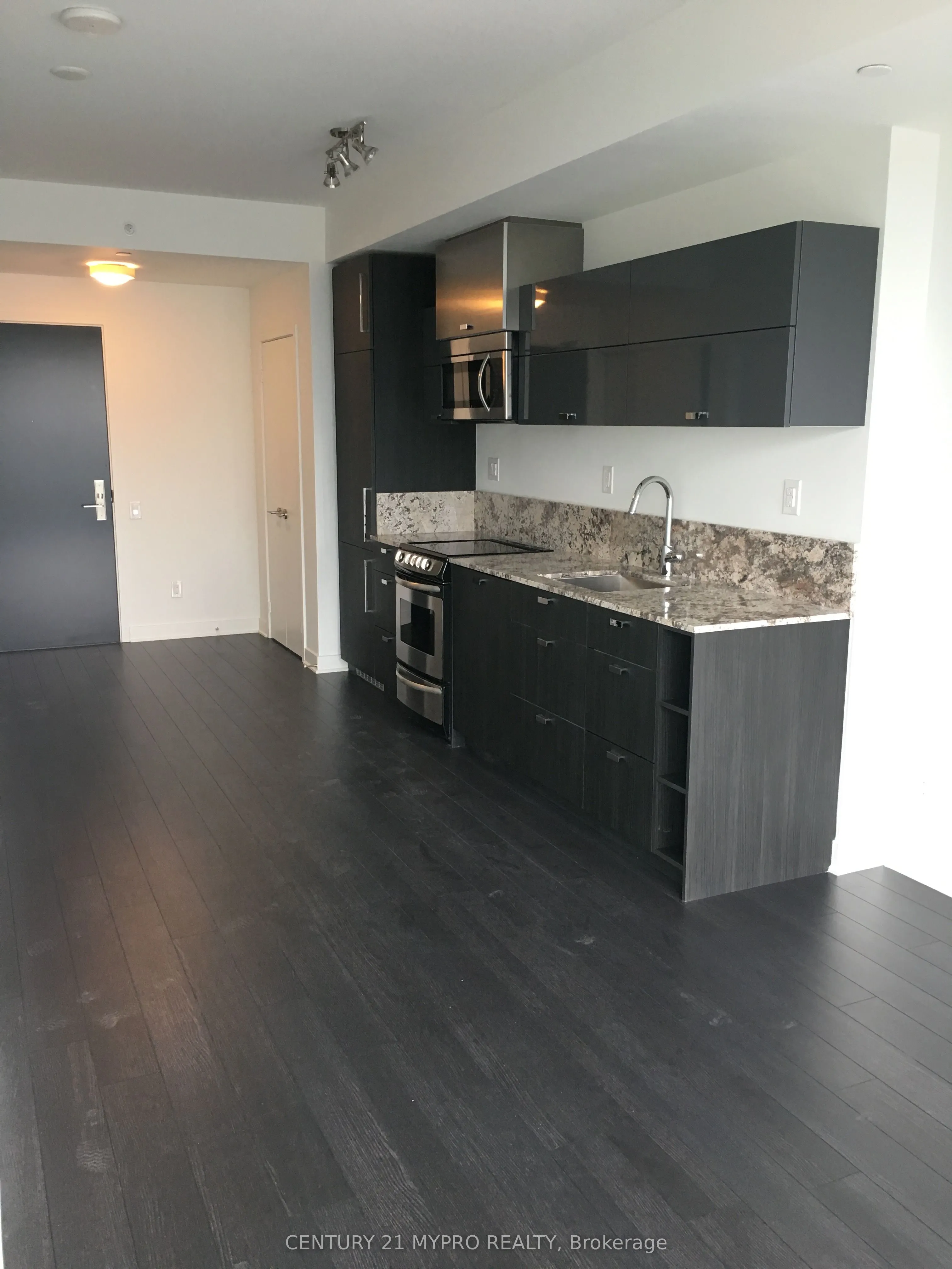290 Adelaide Street W, #3706