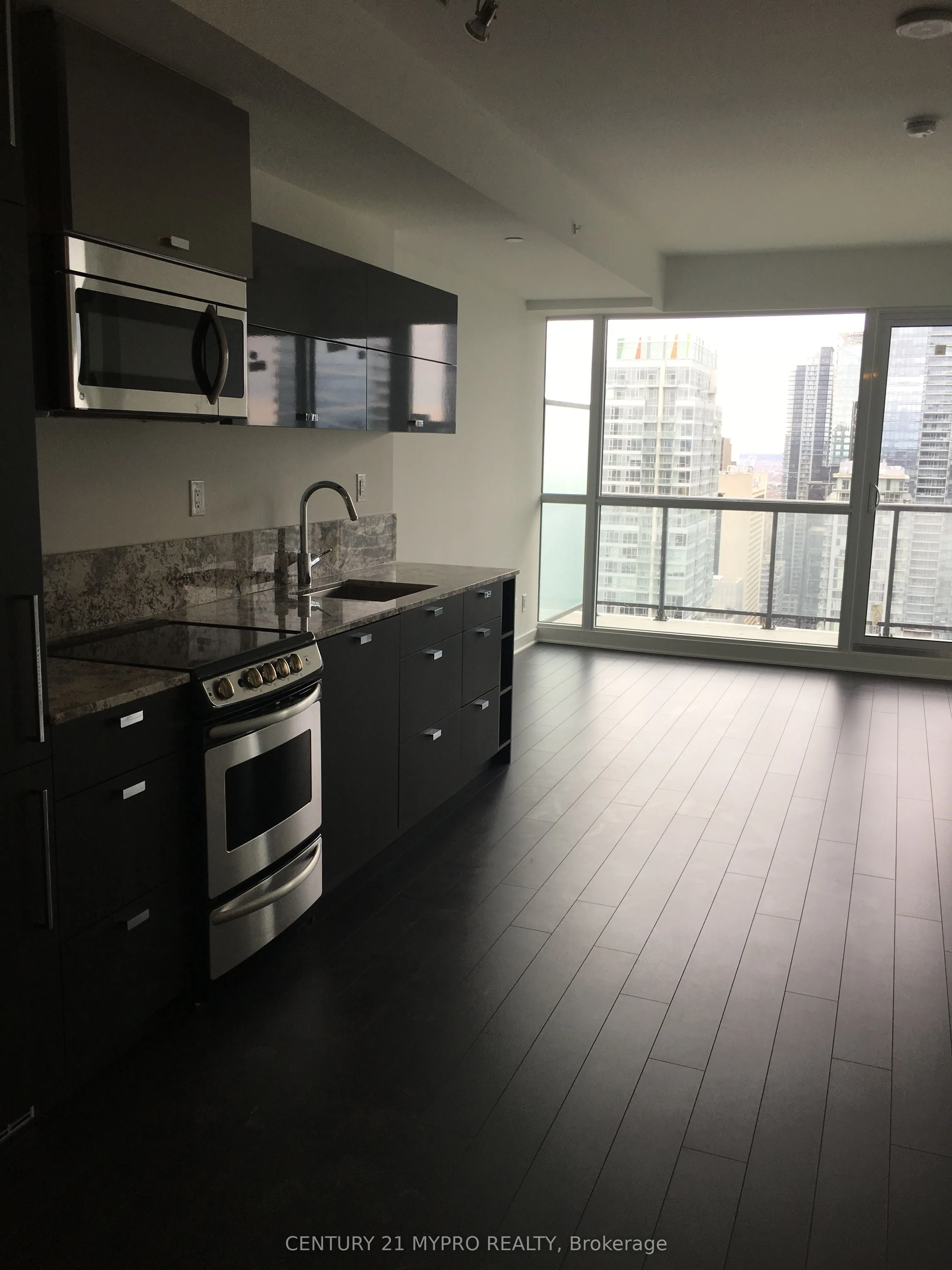 290 Adelaide Street W, #3706