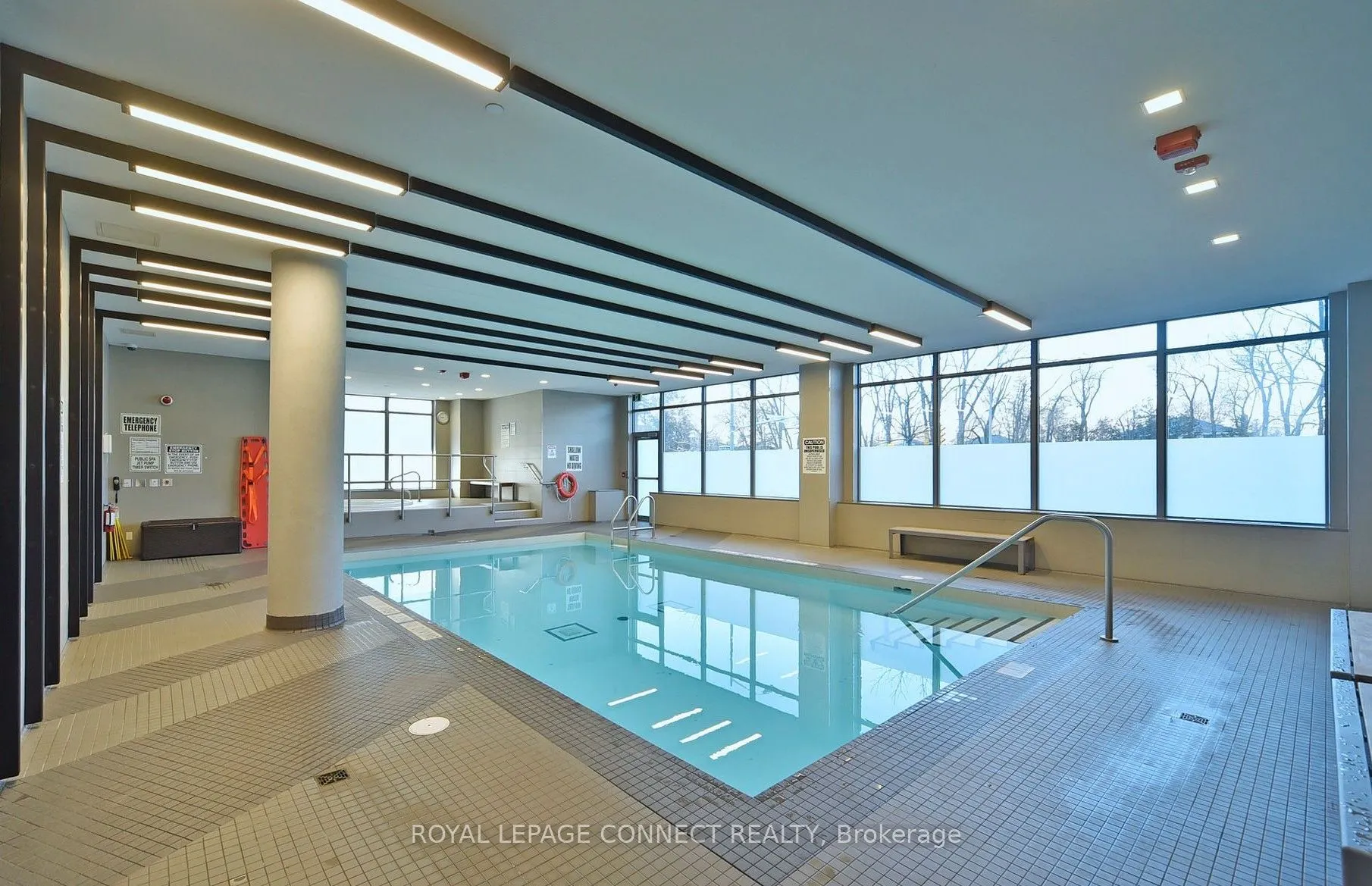 52 Forest Manor Road, #428