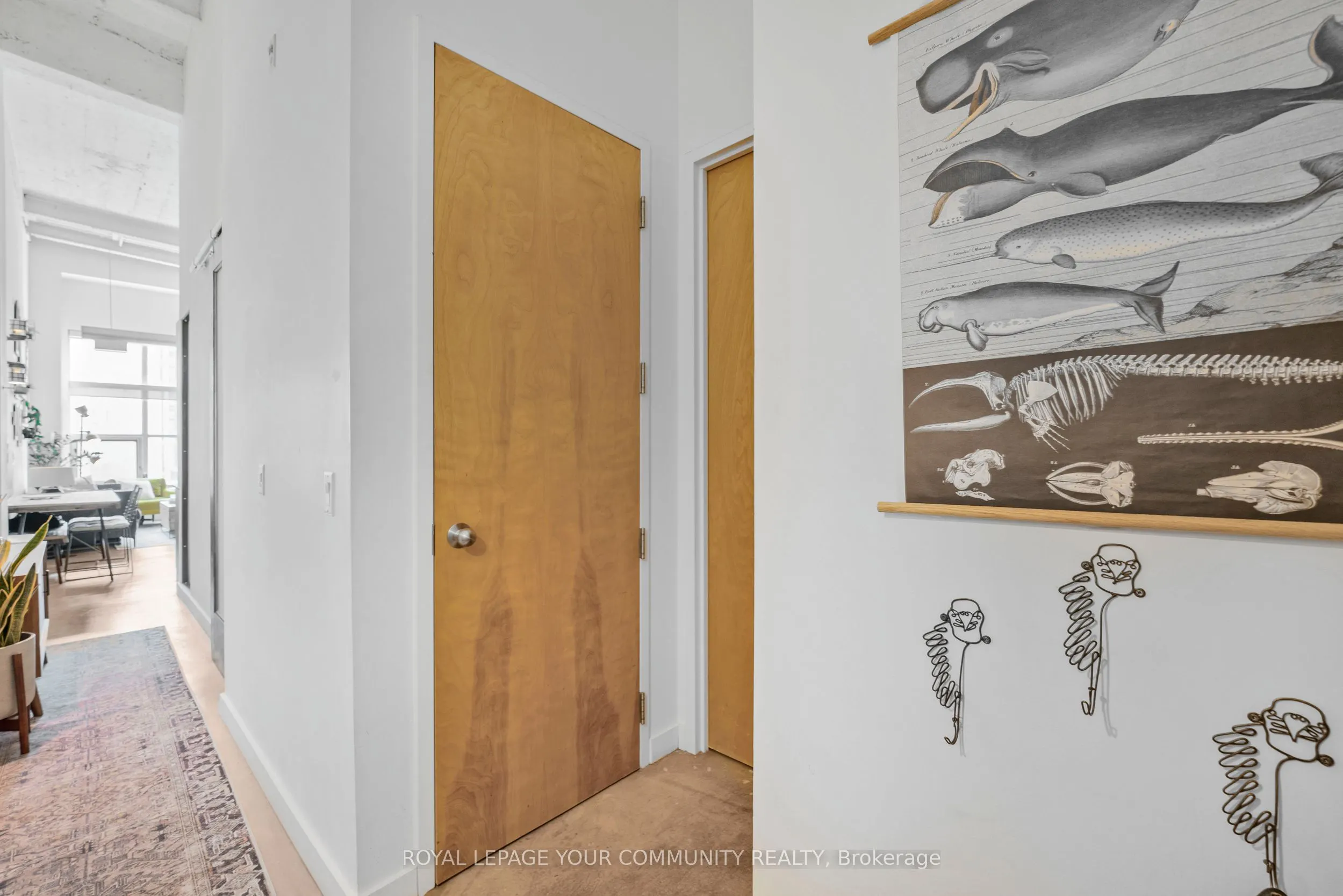 135 Dalhousie Street, #504