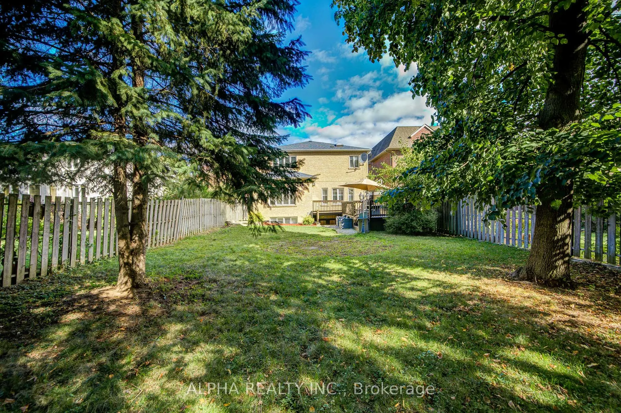 225 Olive Avenue