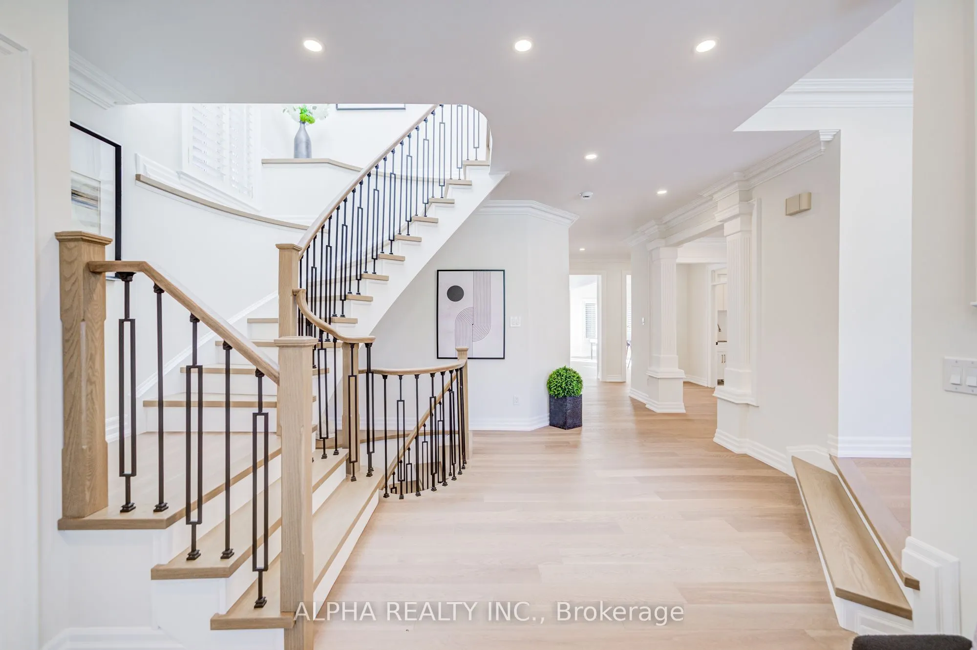 225 Olive Avenue
