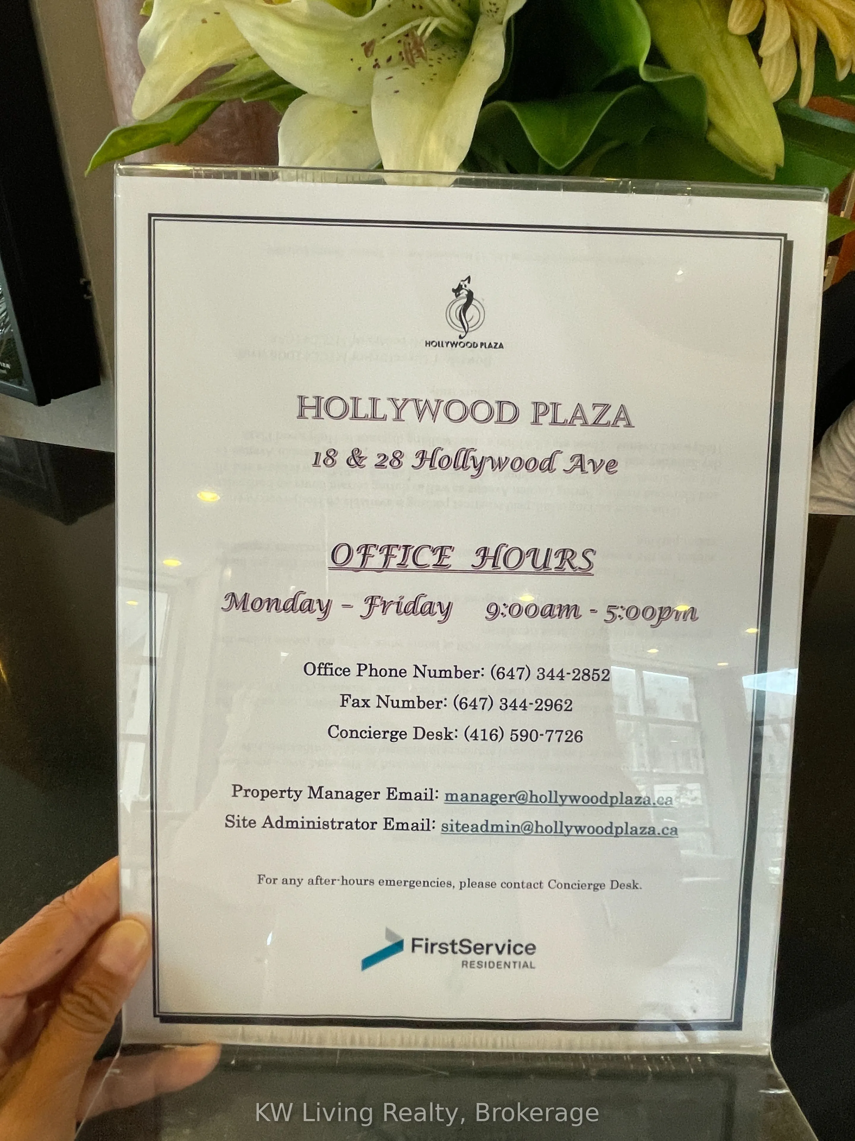 28 Hollywood Avenue, #411