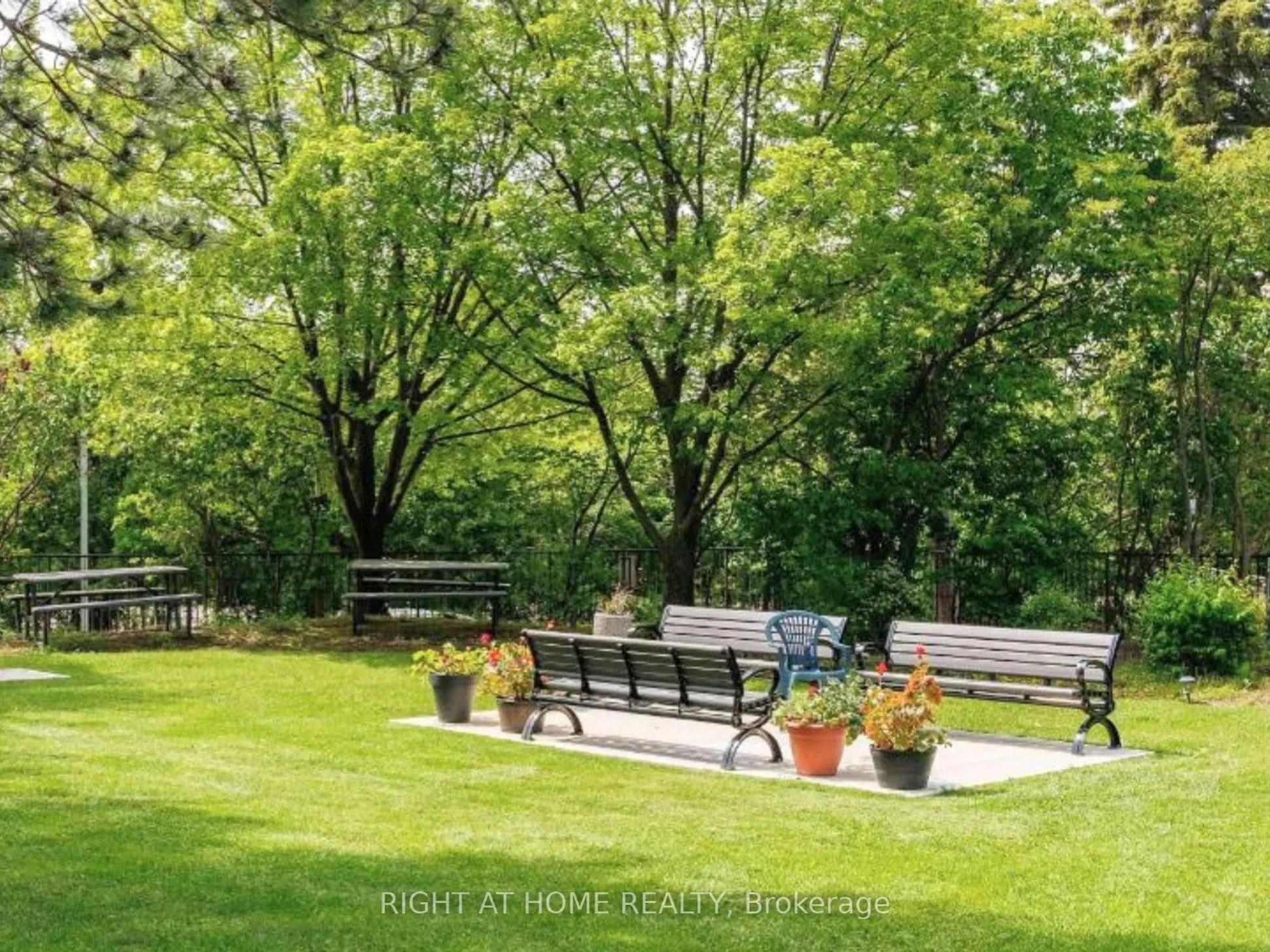 131 Torresdale Avenue, #908