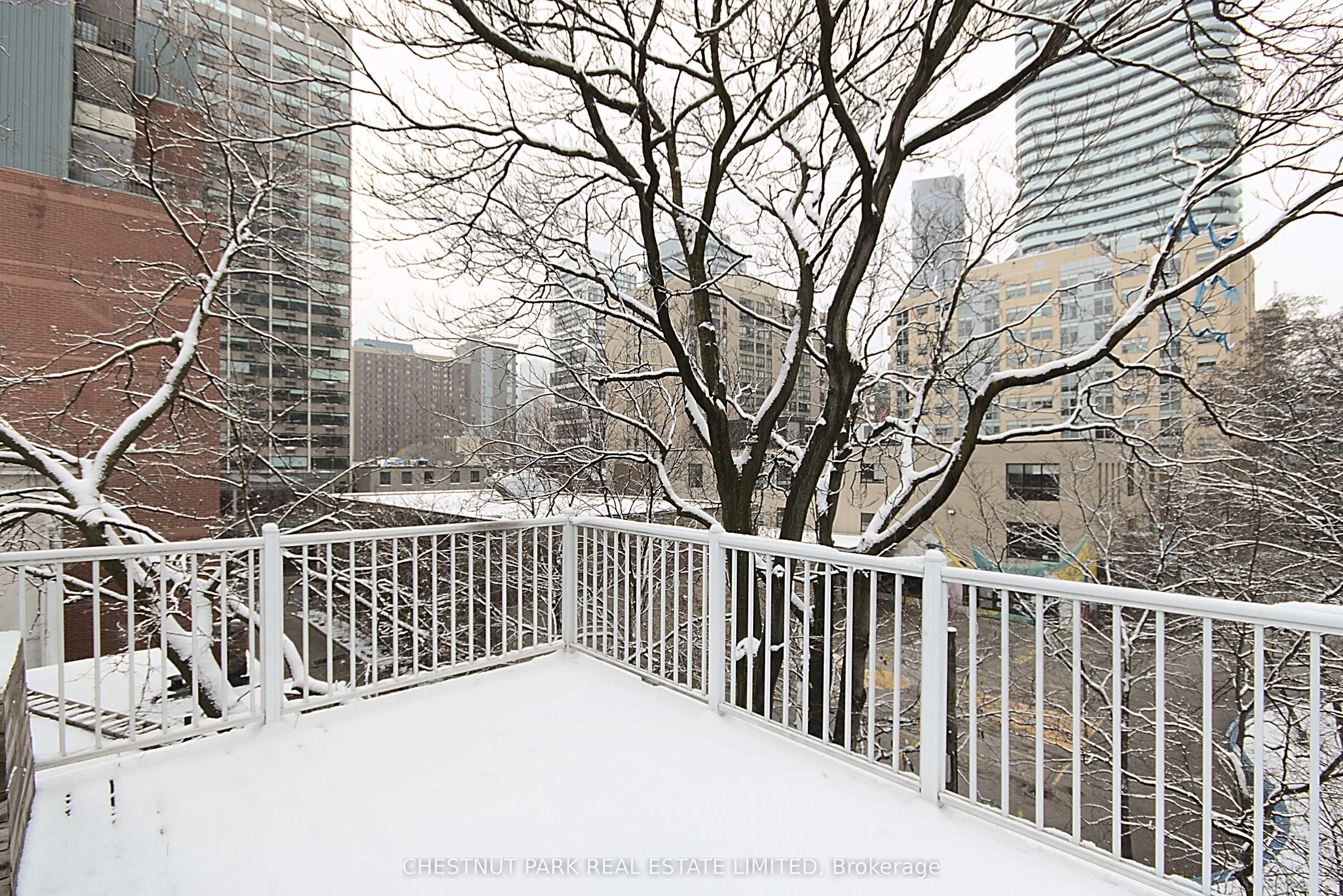 342 Jarvis Street, #Unit 5